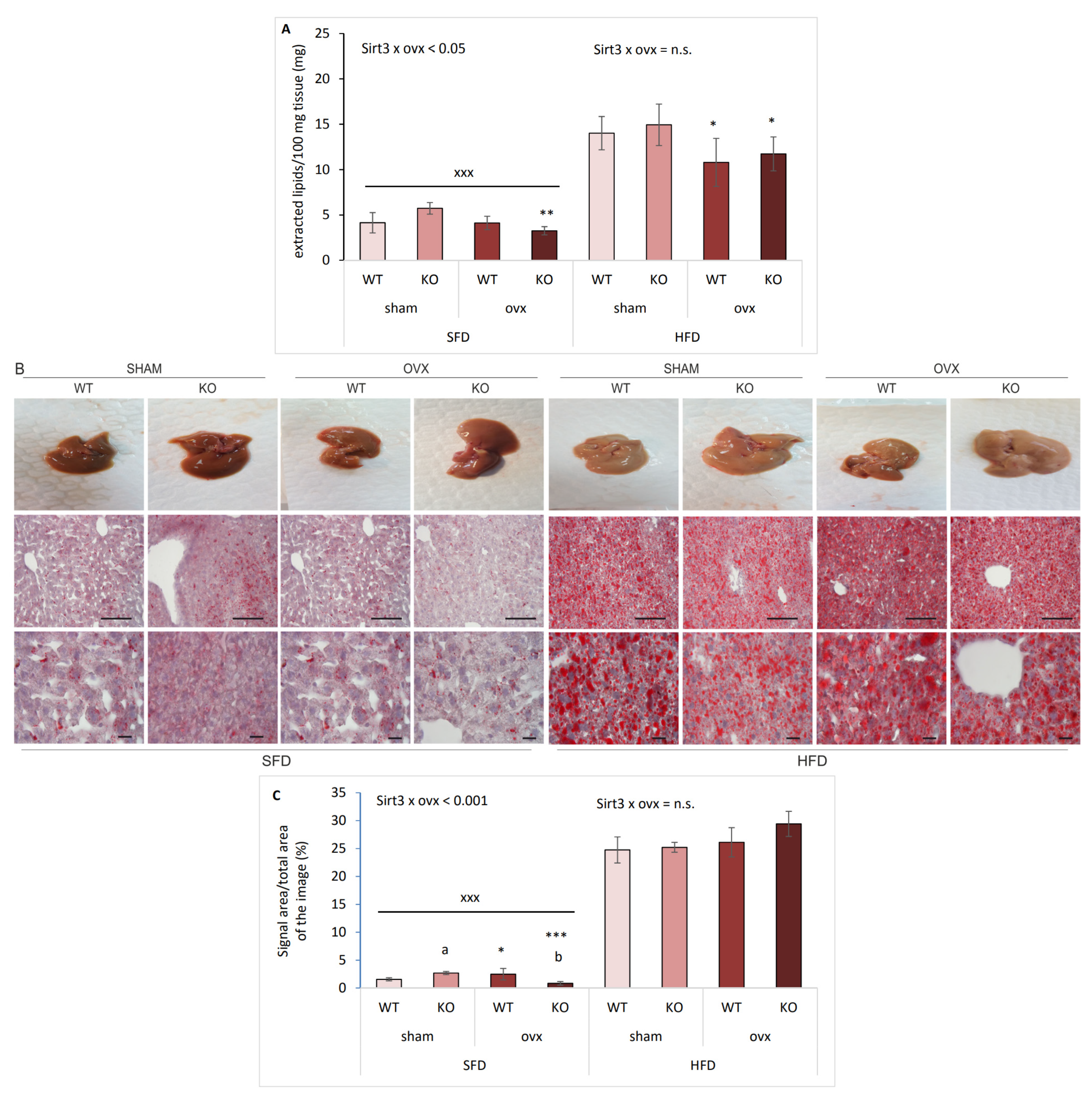 Ijms 22 04277 g004 Ijms 22 04277 g004