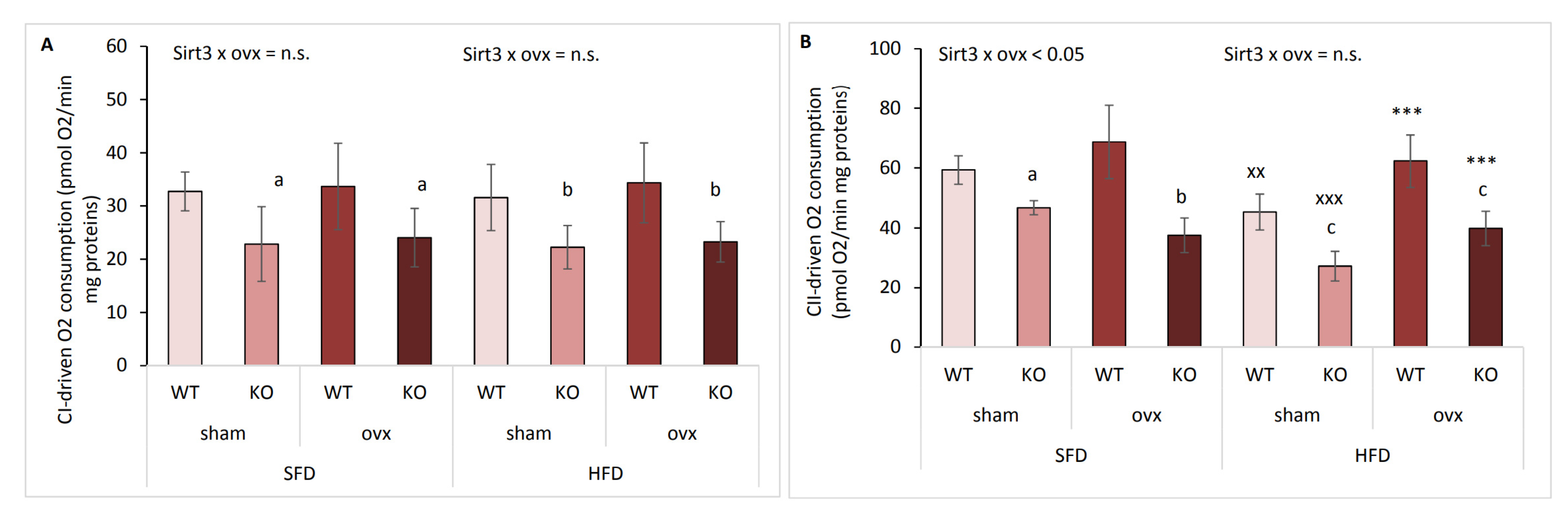 Ijms 22 04277 g007 Ijms 22 04277 g007