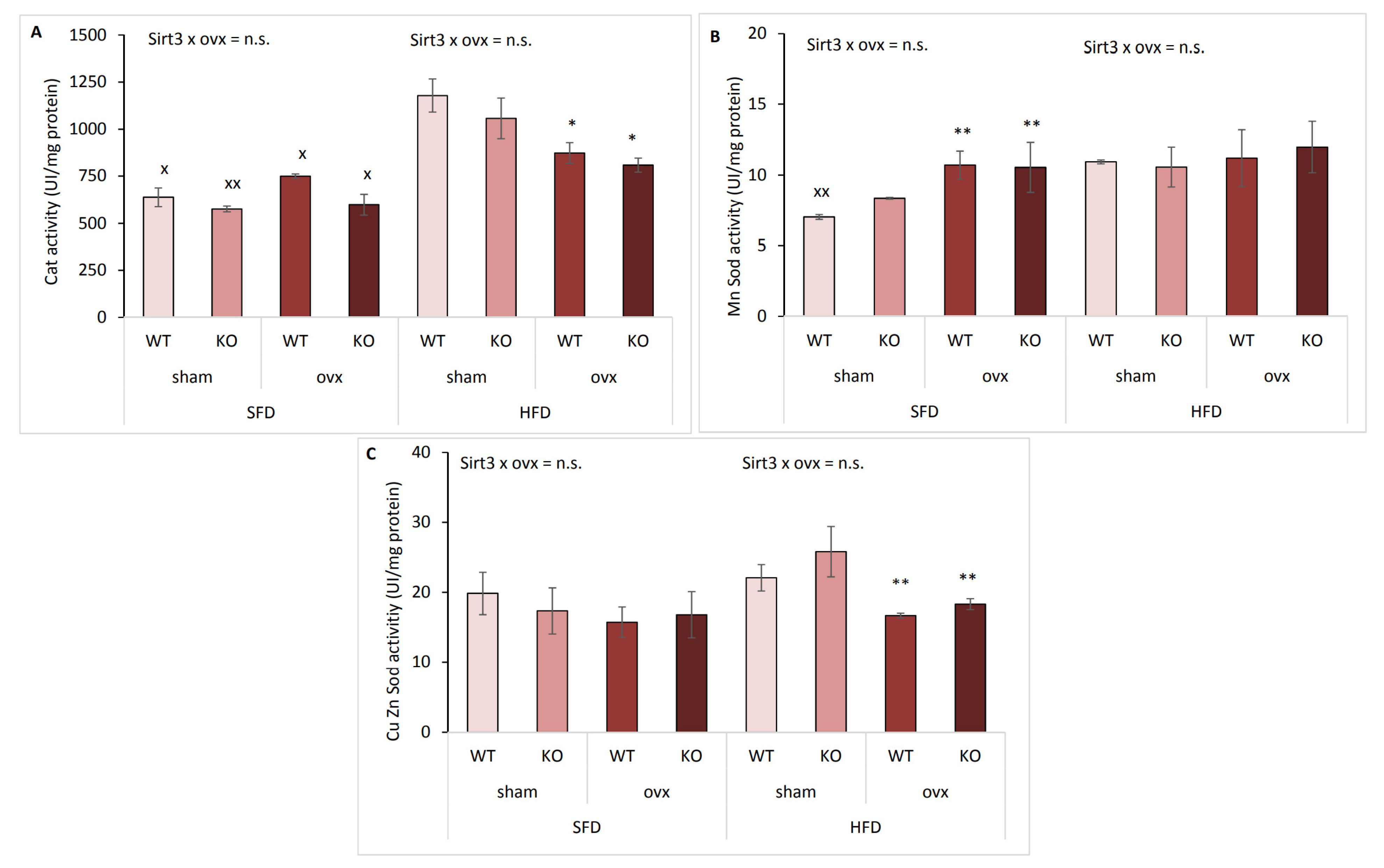 Ijms 22 04277 g008 Ijms 22 04277 g008
