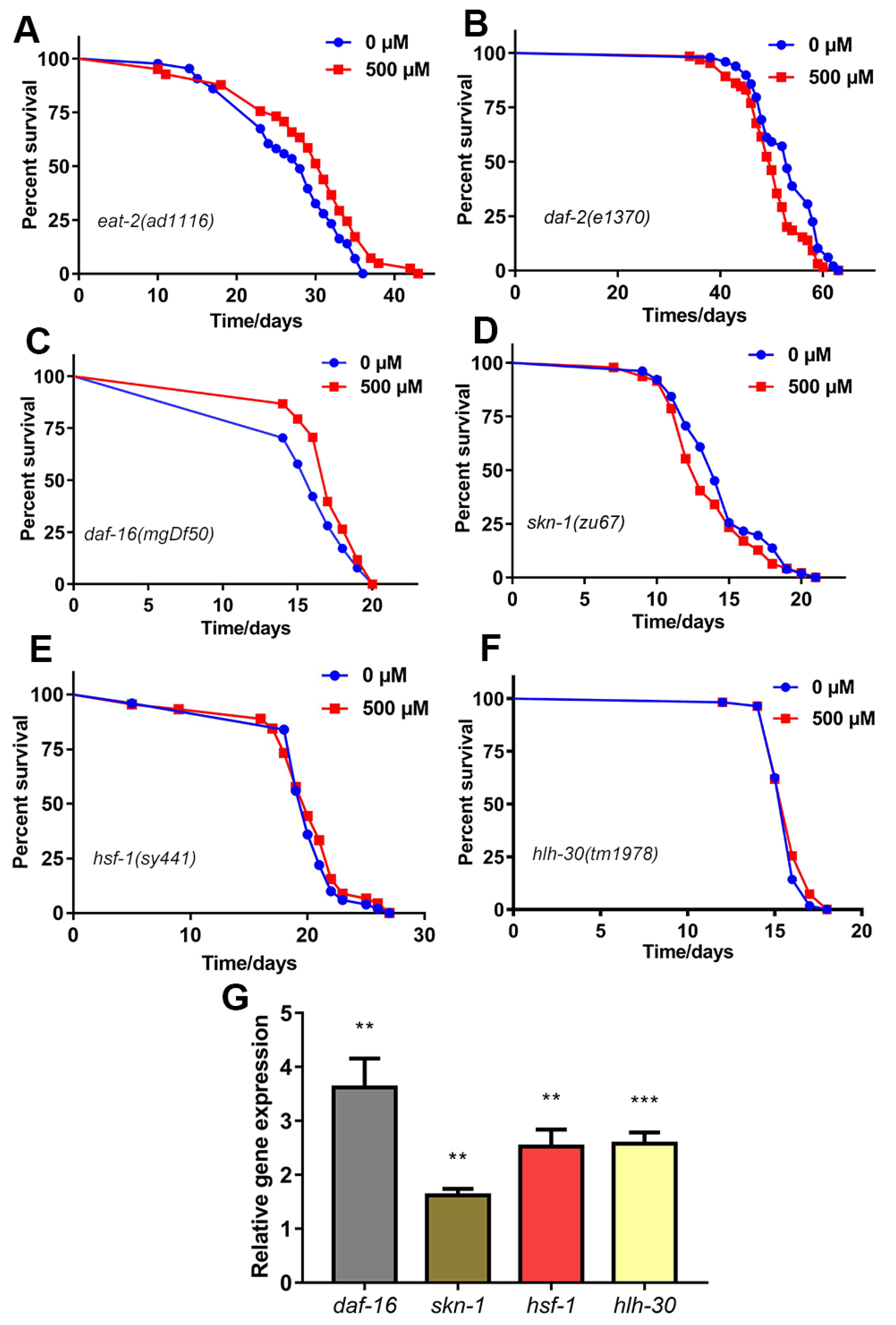 Ijms 22 04279 g004 Ijms 22 04279 g004