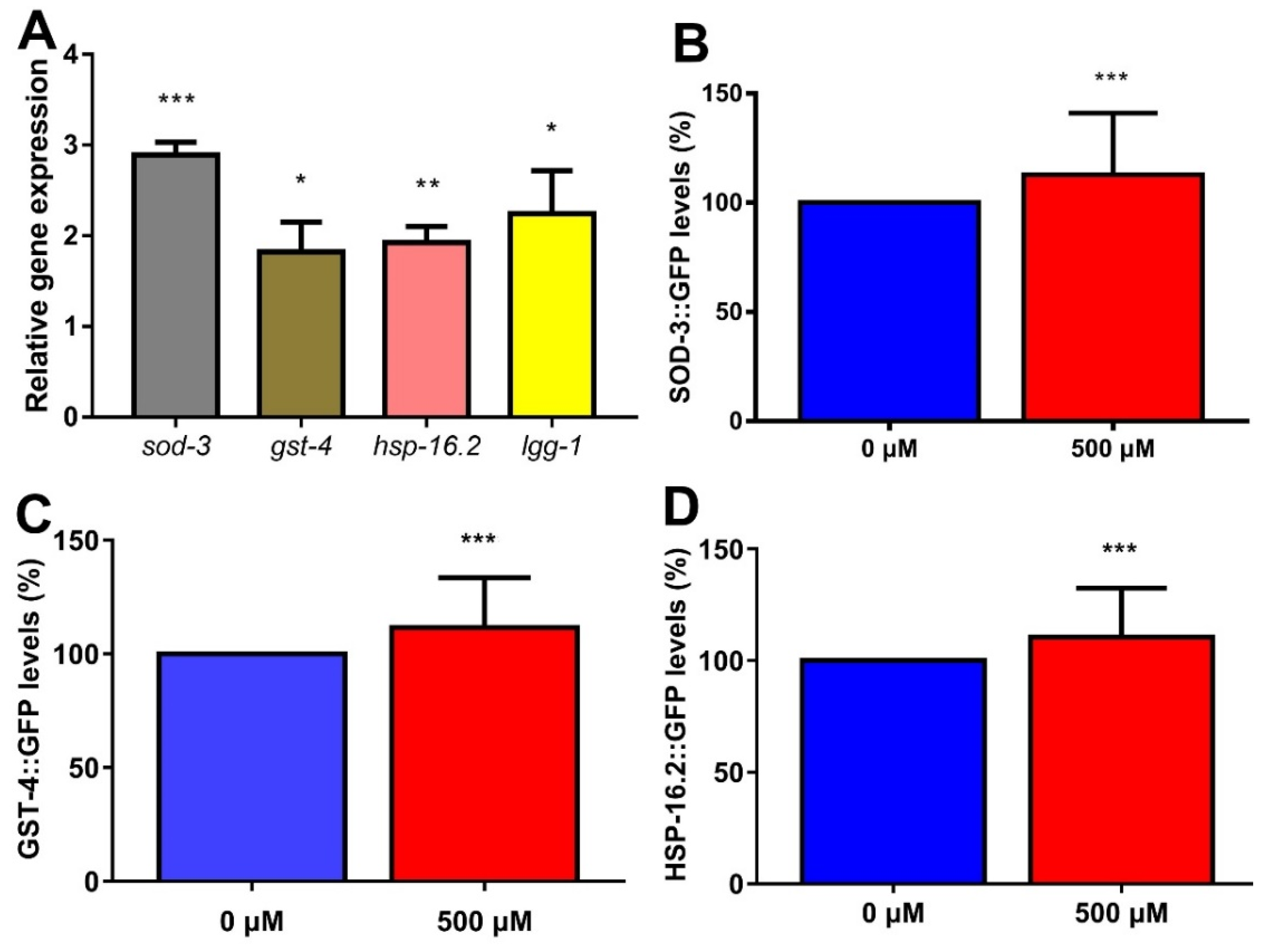 Ijms 22 04279 g005 Ijms 22 04279 g005