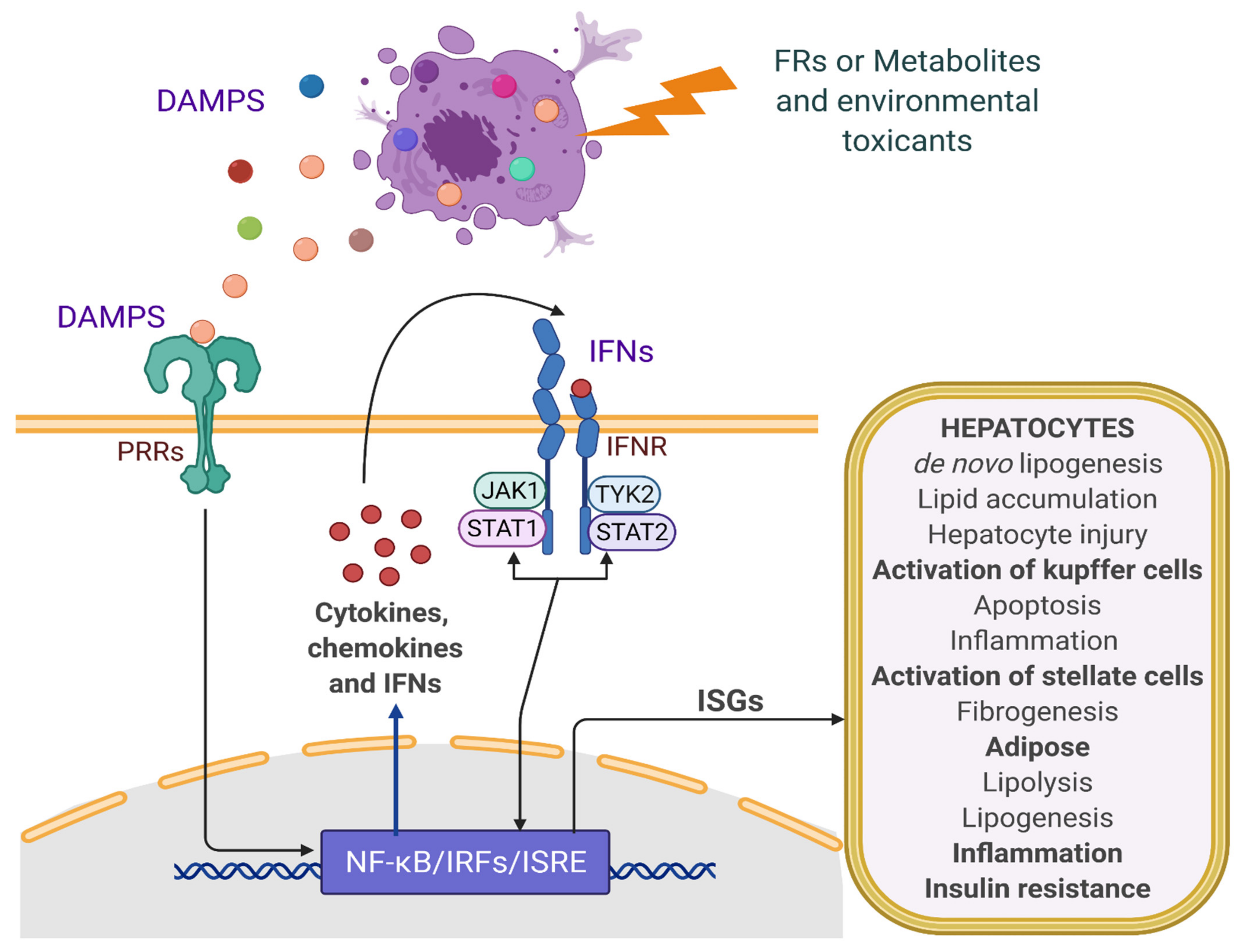 Ijms 22 04282 g003 Ijms 22 04282 g003