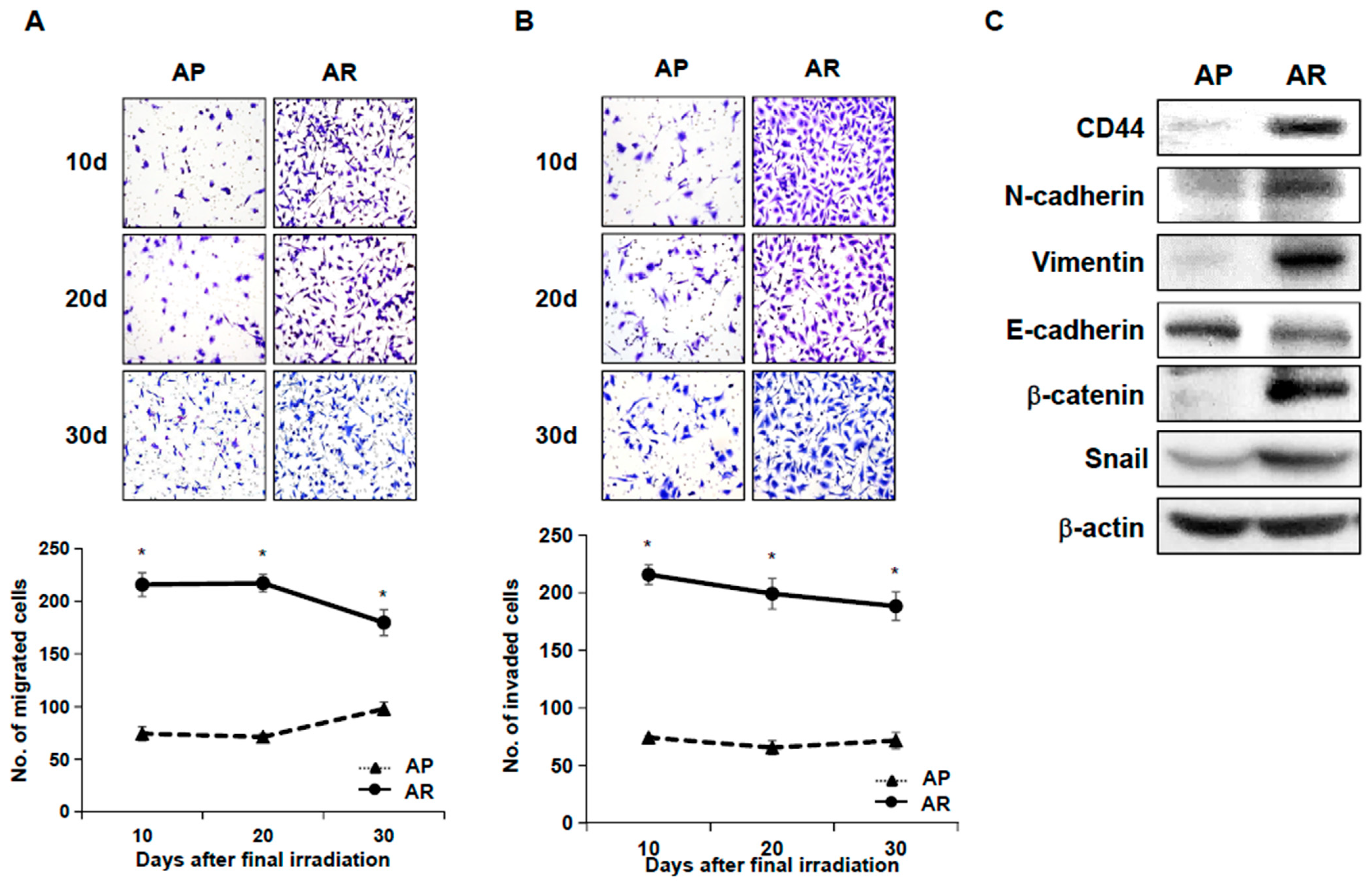 Ijms 22 04284 g002 Ijms 22 04284 g002
