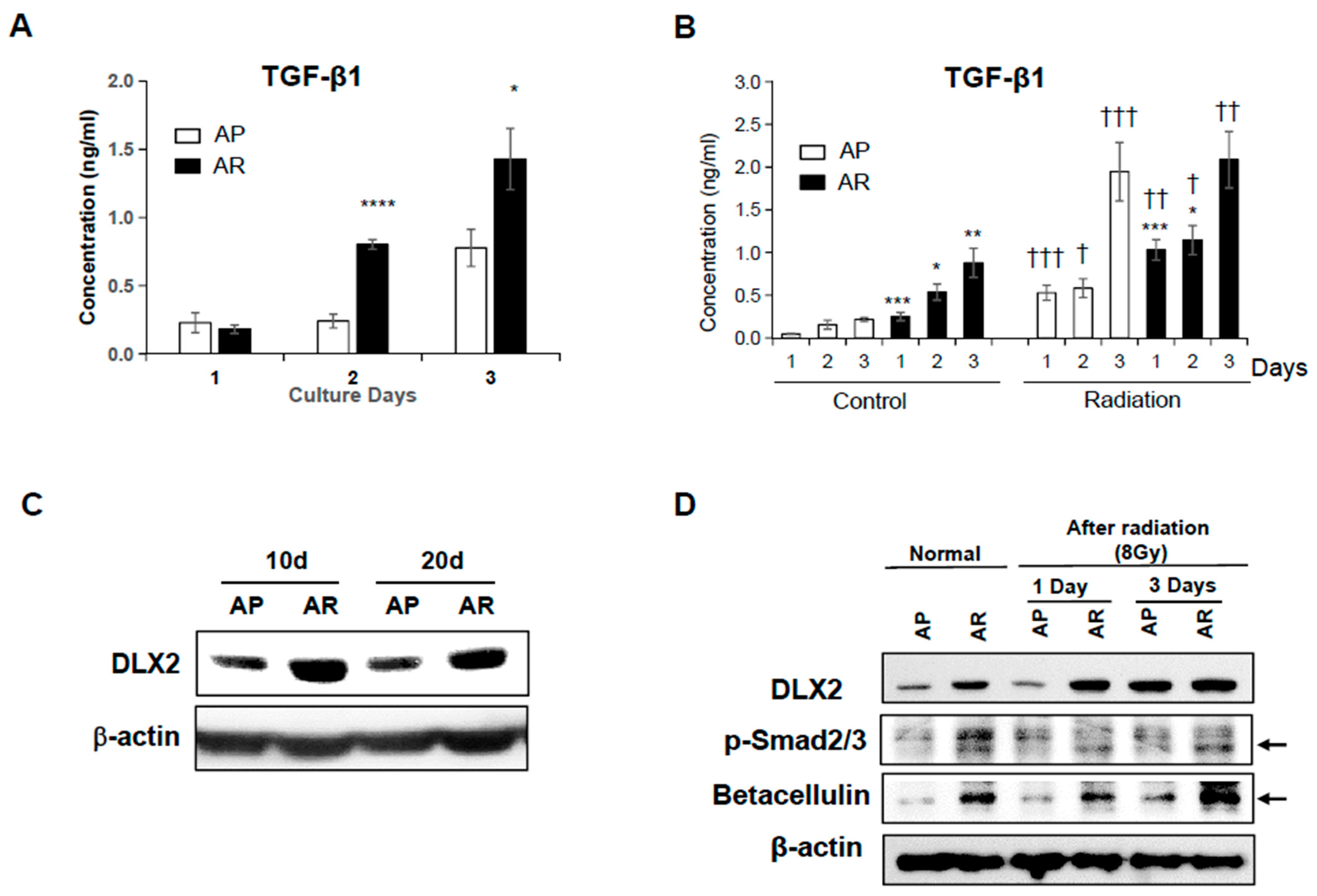 Ijms 22 04284 g003 Ijms 22 04284 g003