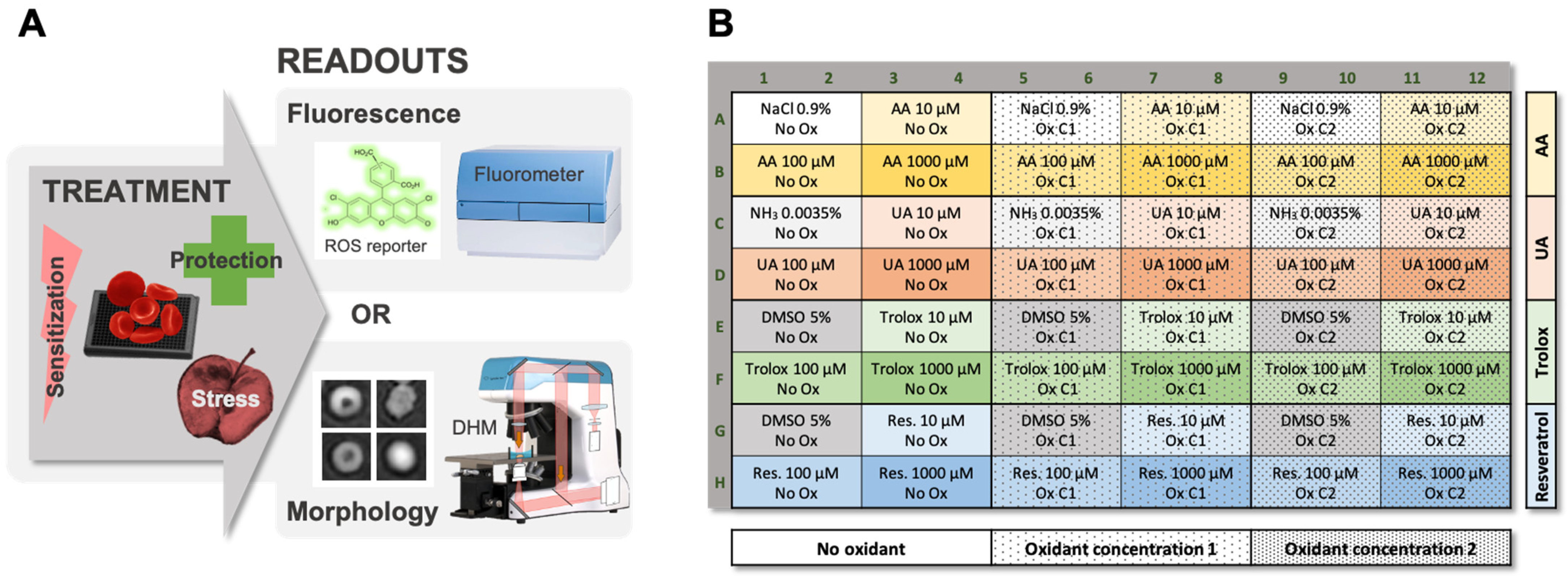 Ijms 22 04293 g001 Ijms 22 04293 g001