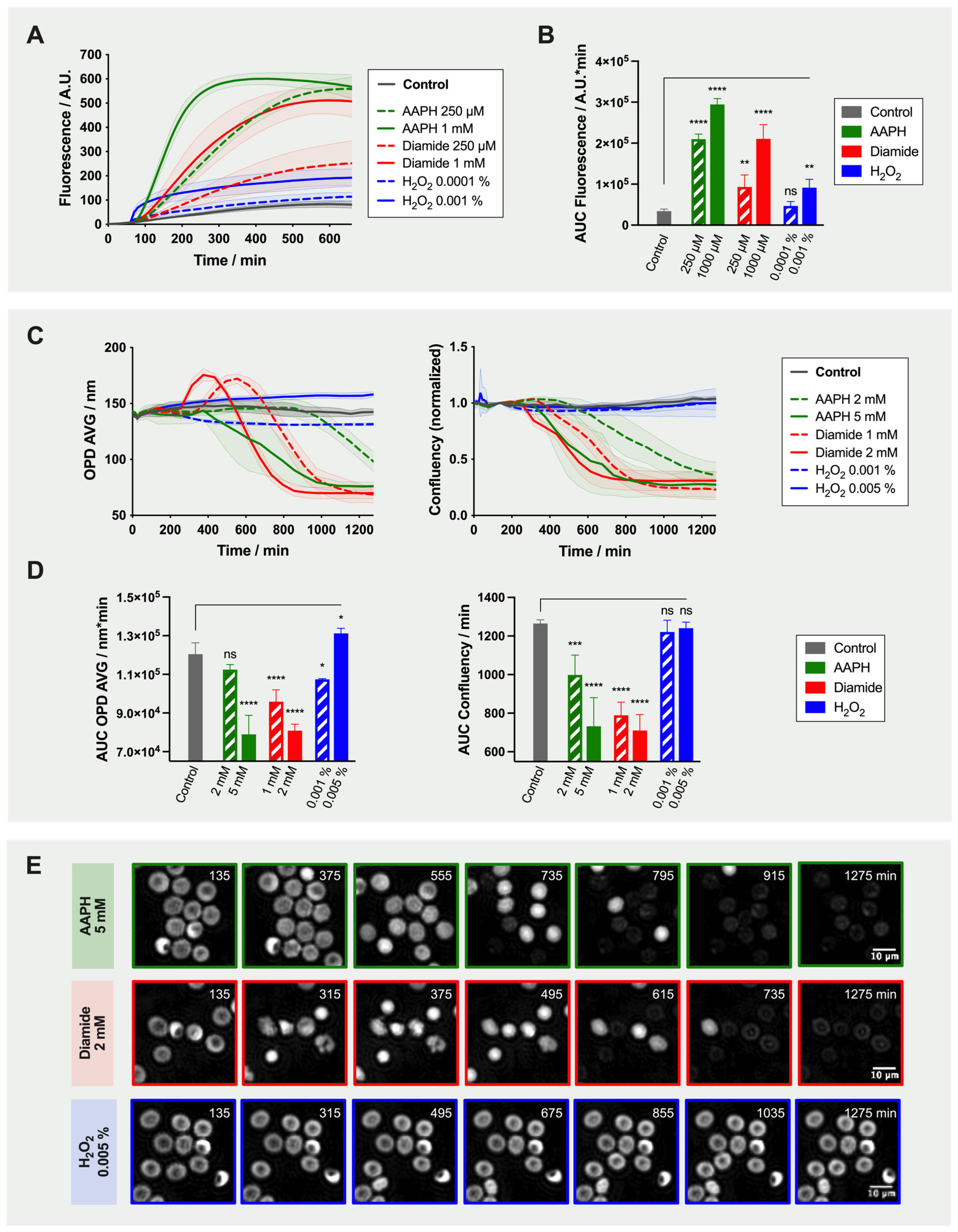 Ijms 22 04293 g002 Ijms 22 04293 g002