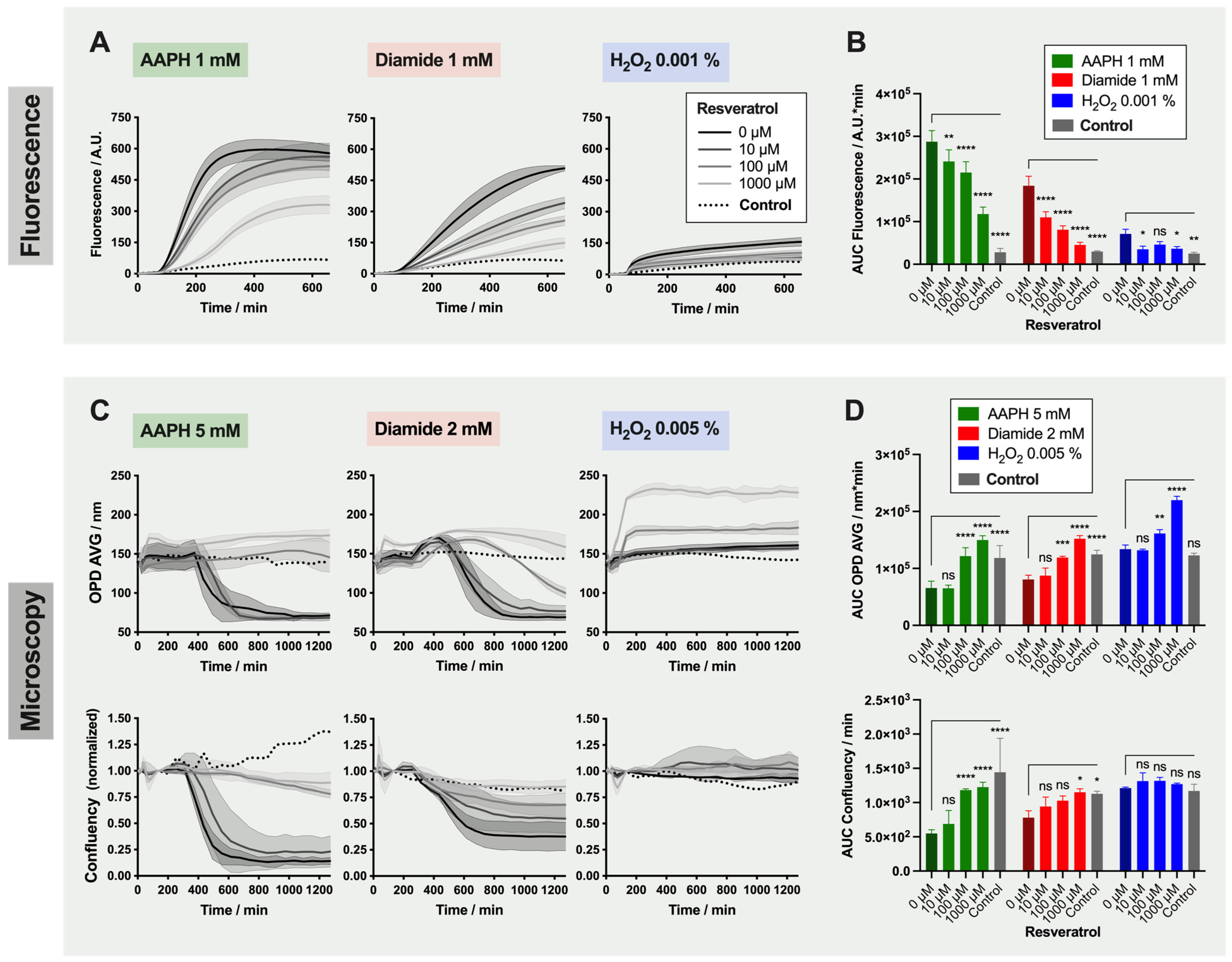 Ijms 22 04293 g004 Ijms 22 04293 g004