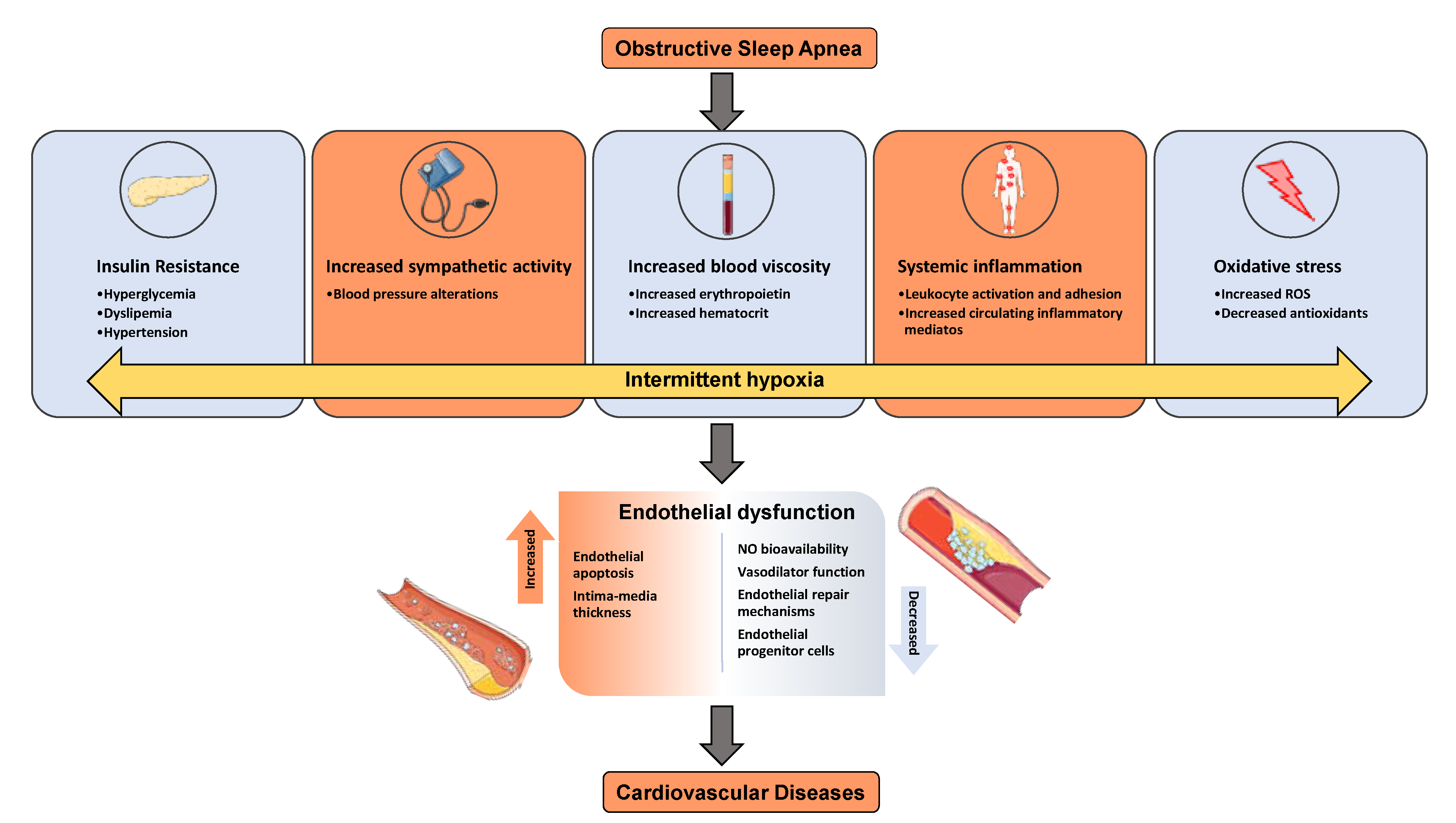 Ijms 22 04301 g001 Ijms 22 04301 g001