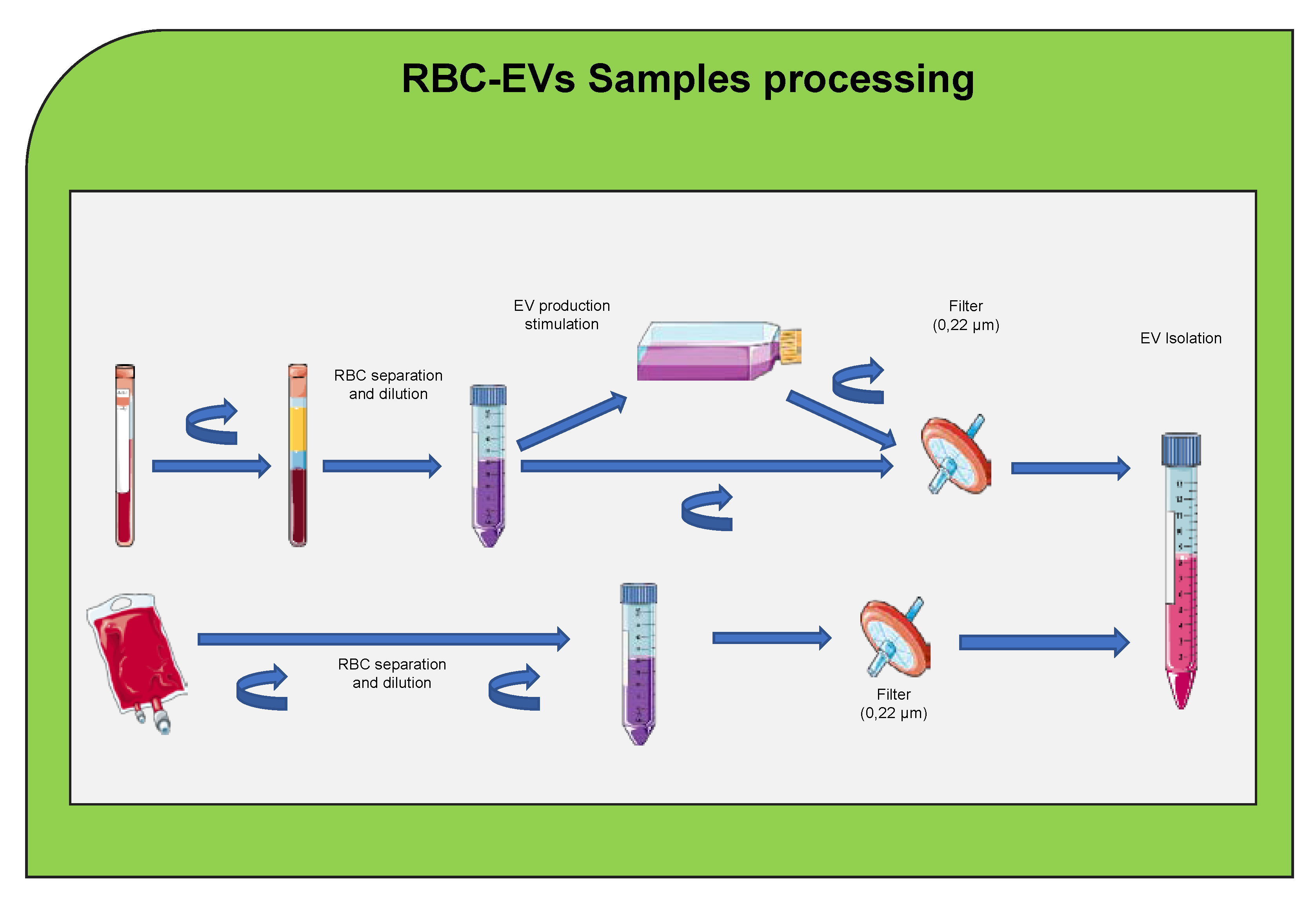 Ijms 22 04301 g003a Ijms 22 04301 g003a