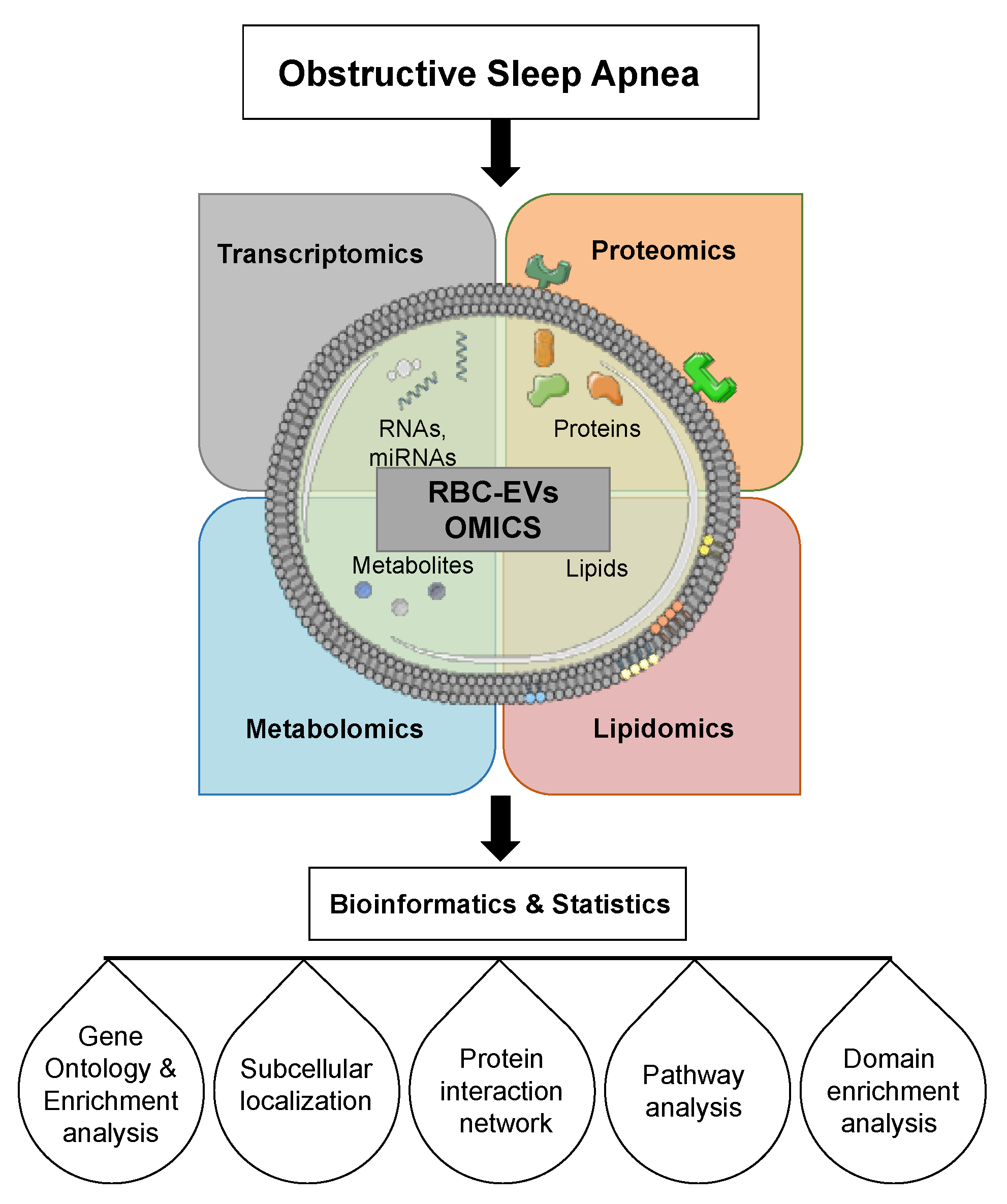 Ijms 22 04301 g006 Ijms 22 04301 g006