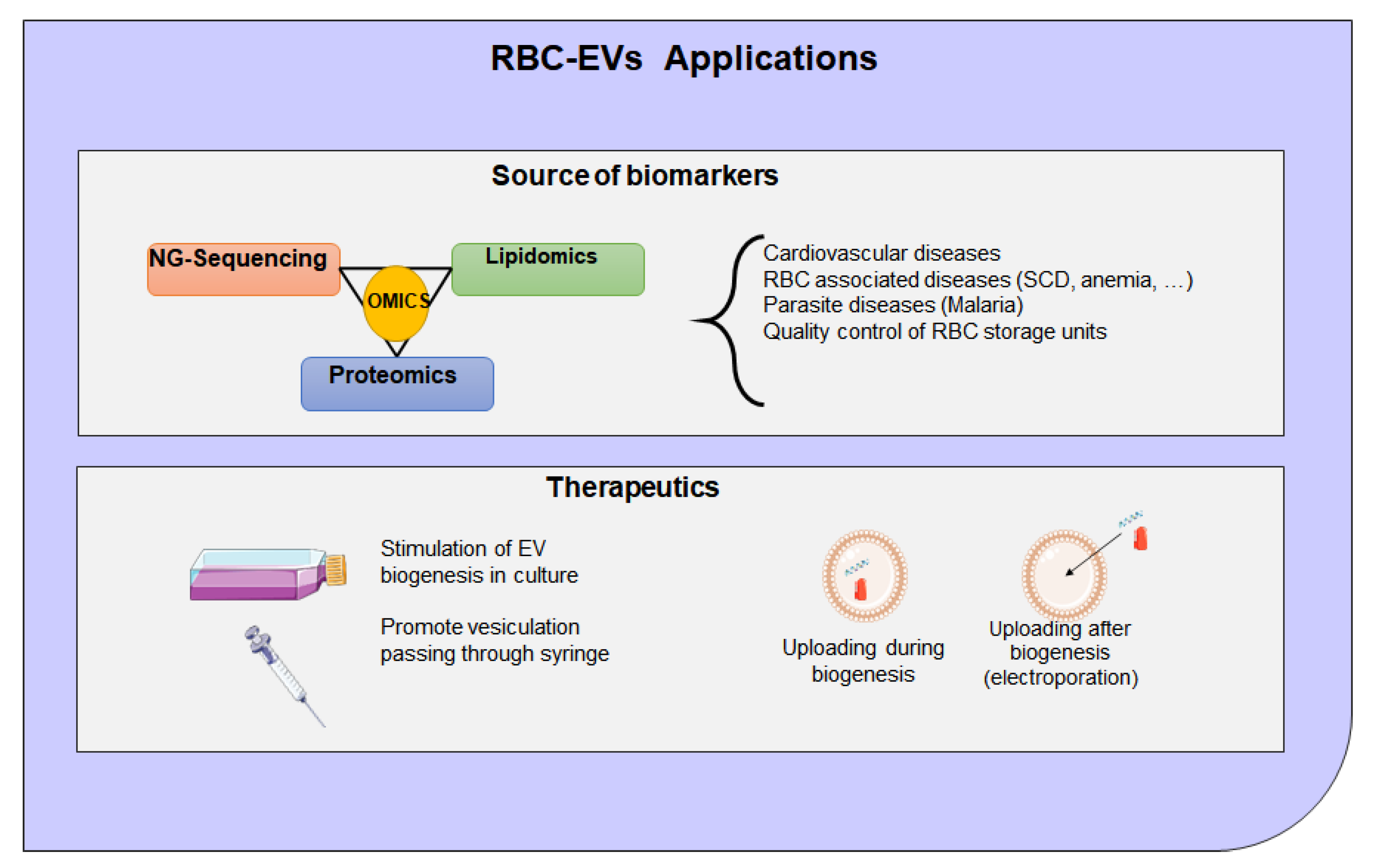 Ijms 22 04301 g007 Ijms 22 04301 g007