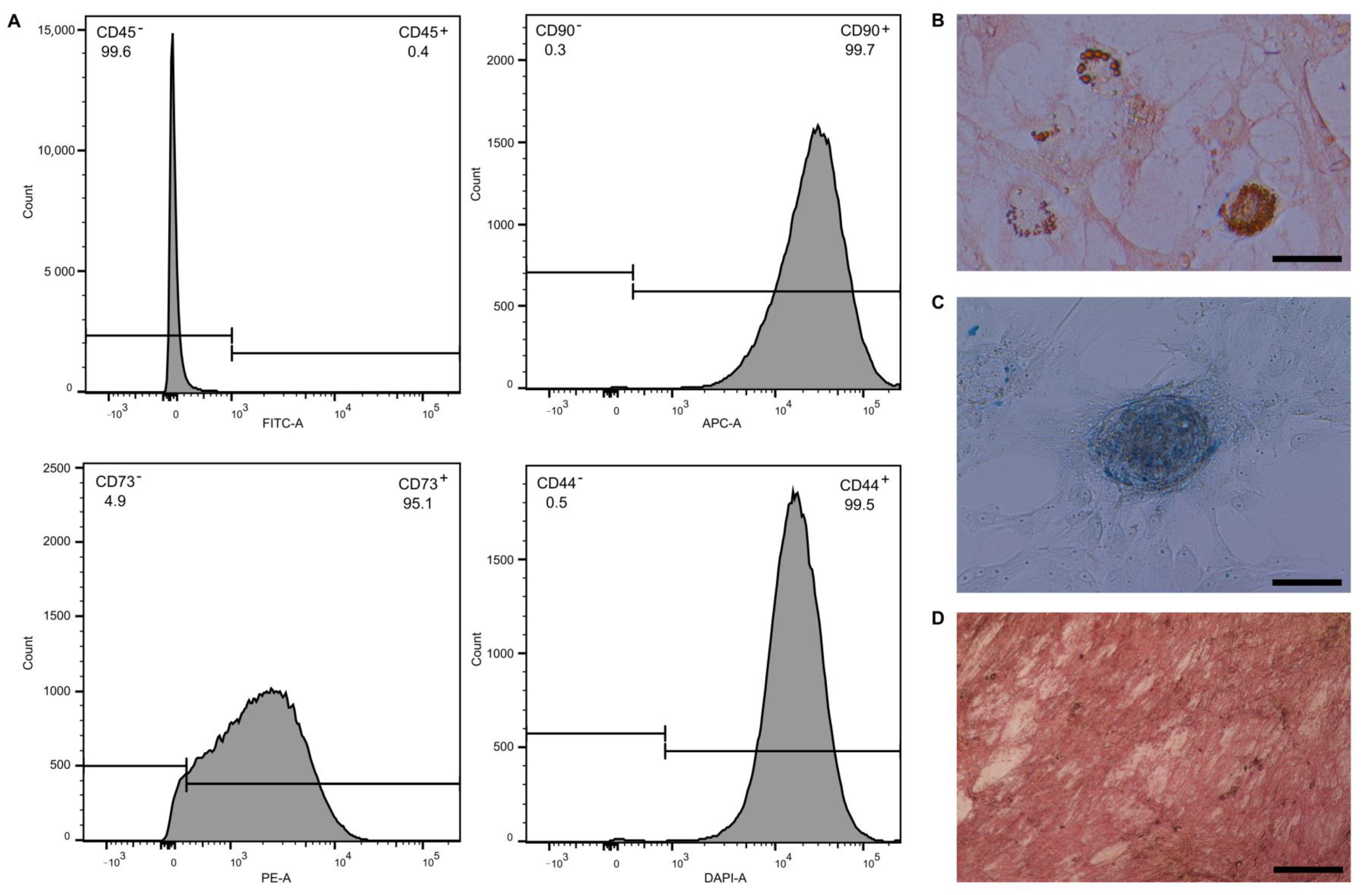 Ijms 22 04304 g001 Ijms 22 04304 g001