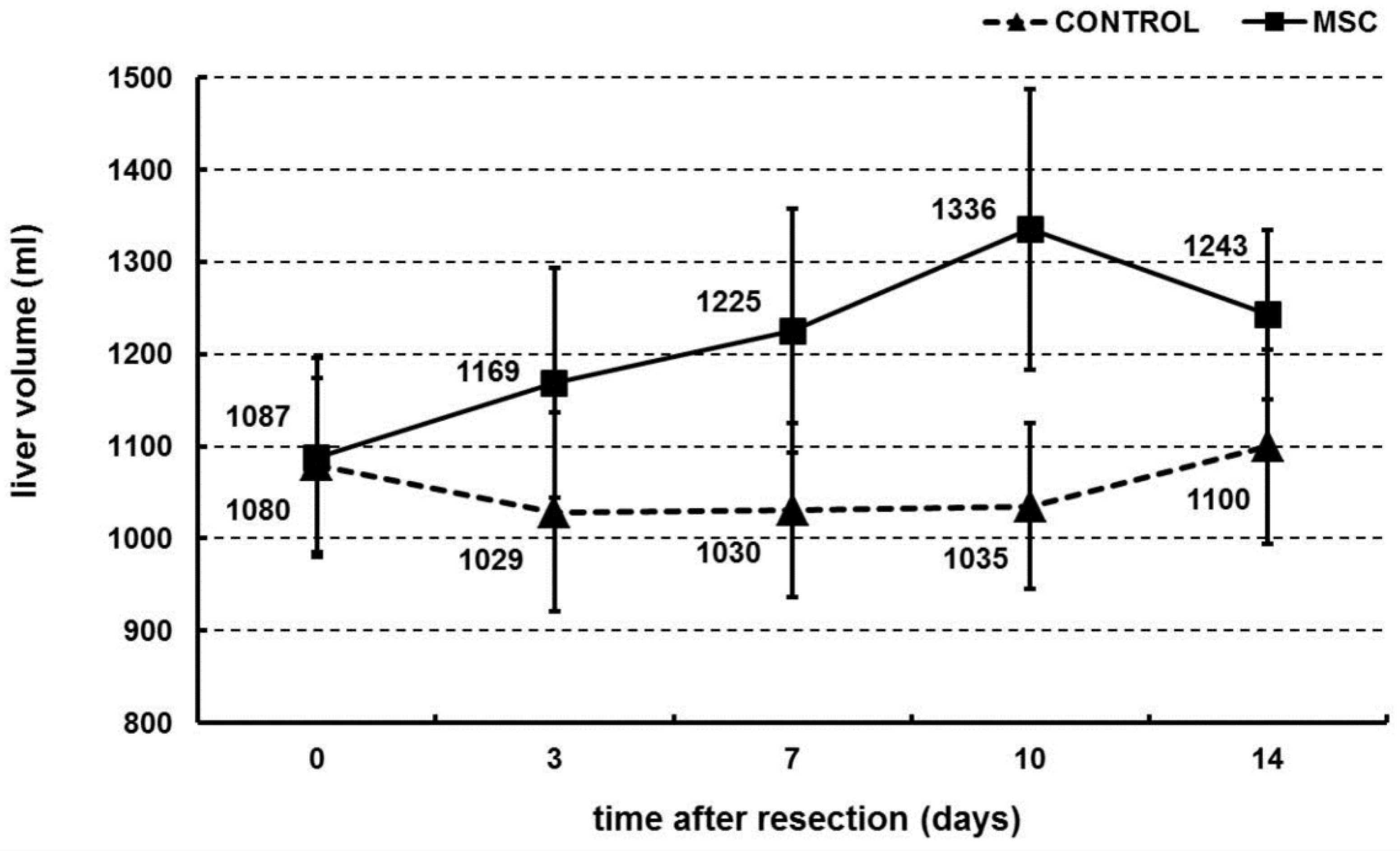 Ijms 22 04304 g002 Ijms 22 04304 g002