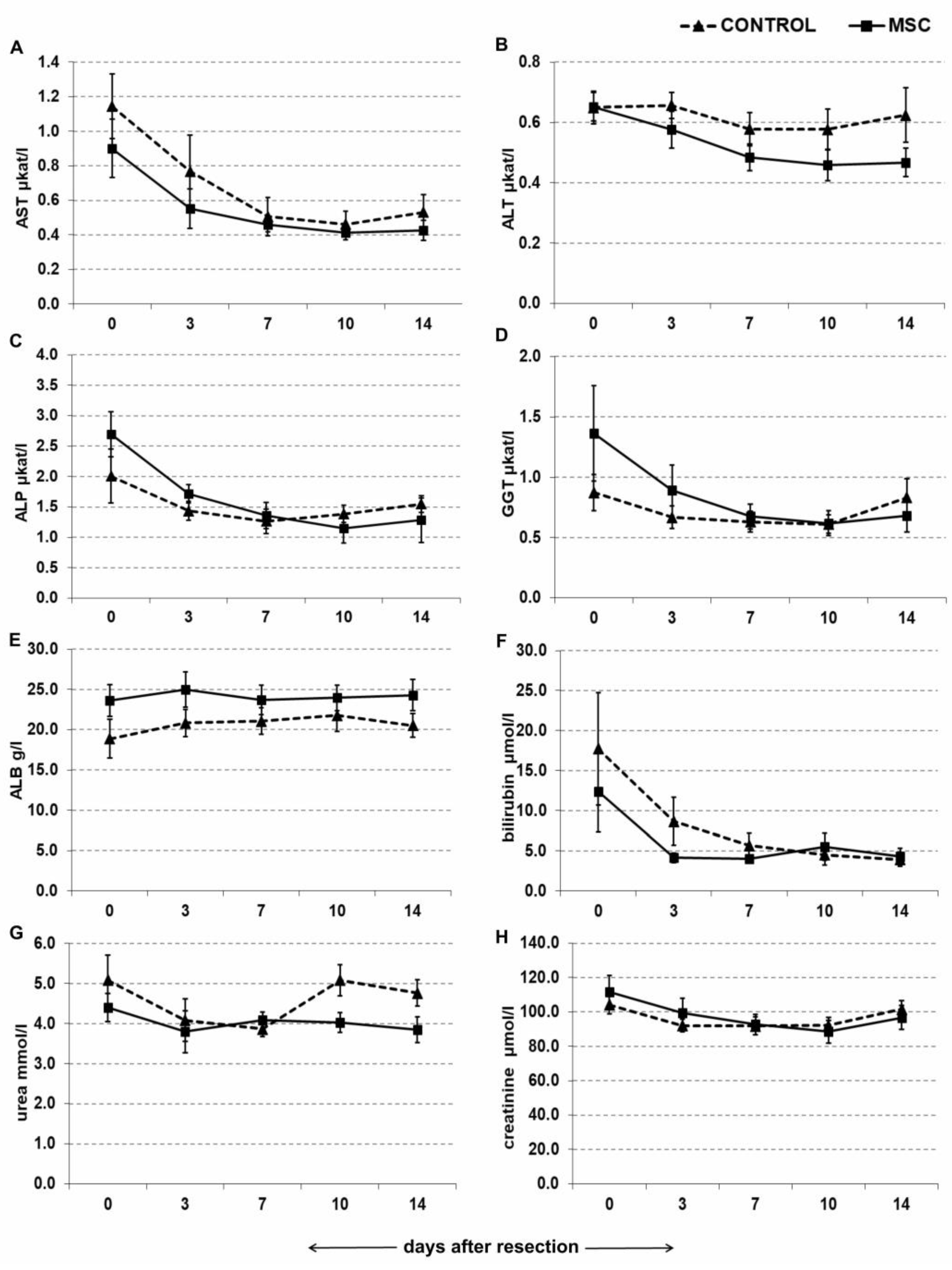 Ijms 22 04304 g004 Ijms 22 04304 g004