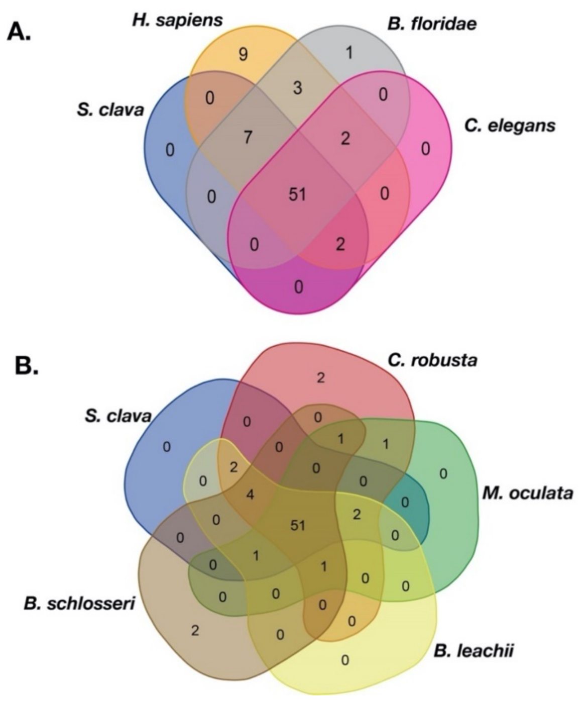 Ijms 22 04317 g001 Ijms 22 04317 g001