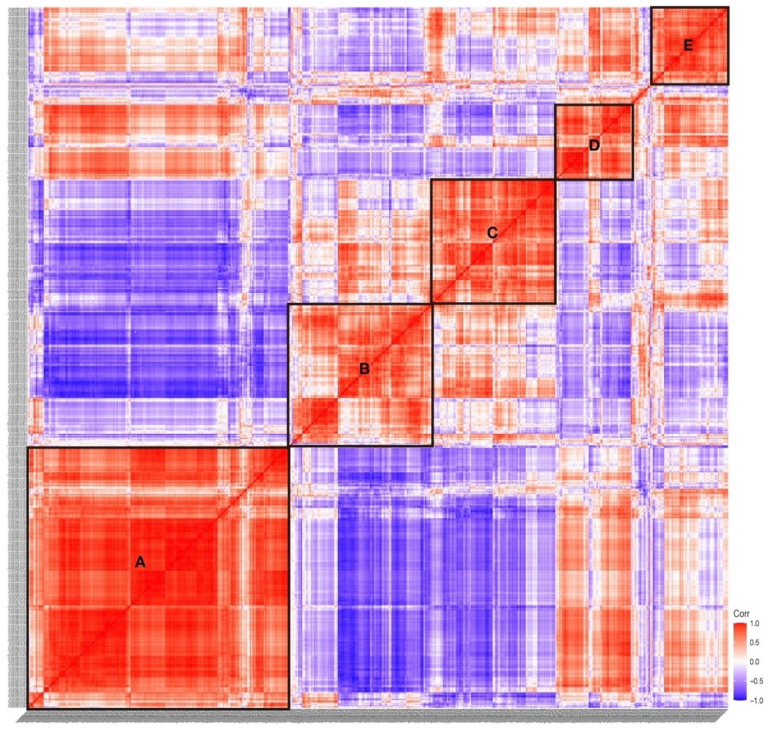 Ijms 22 04317 g003 Ijms 22 04317 g003