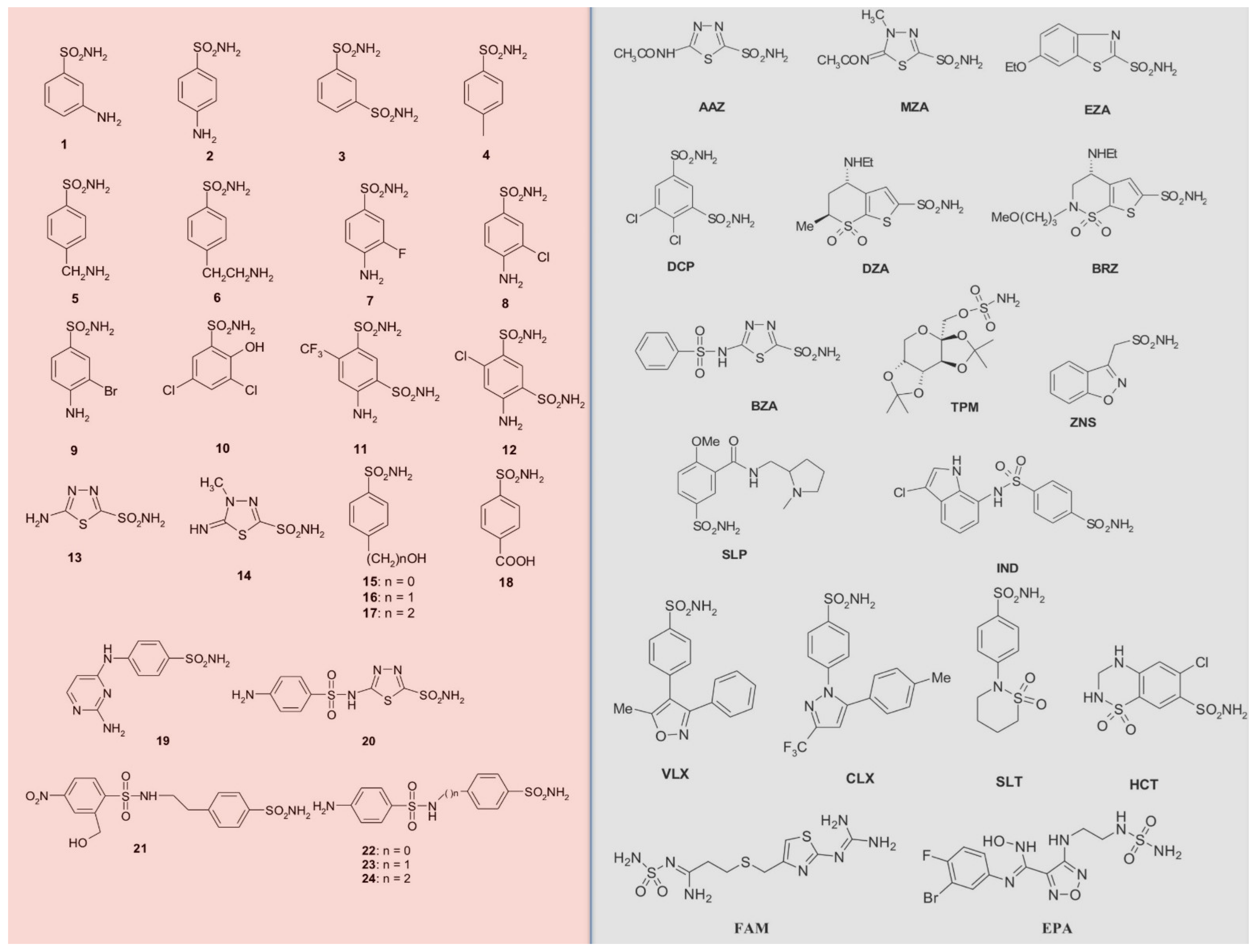 Ijms 22 04324 g001 Ijms 22 04324 g001