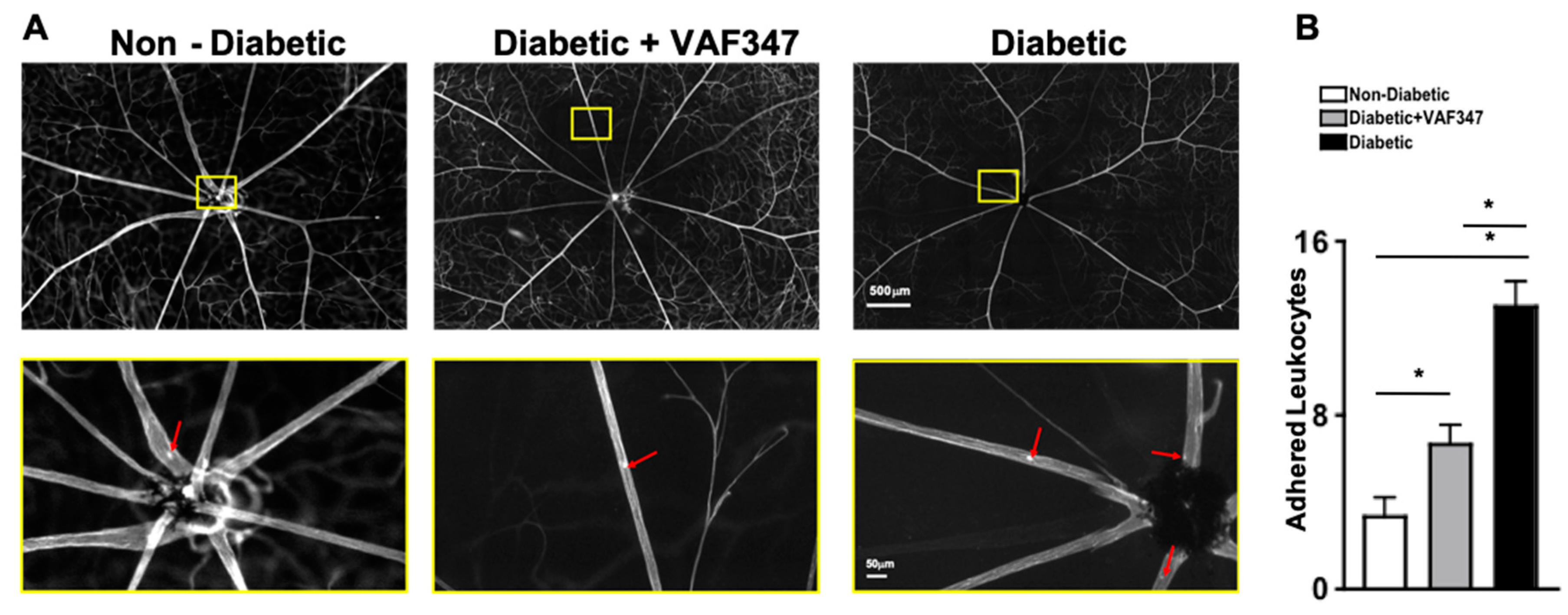 Ijms 22 04335 g002 Ijms 22 04335 g002