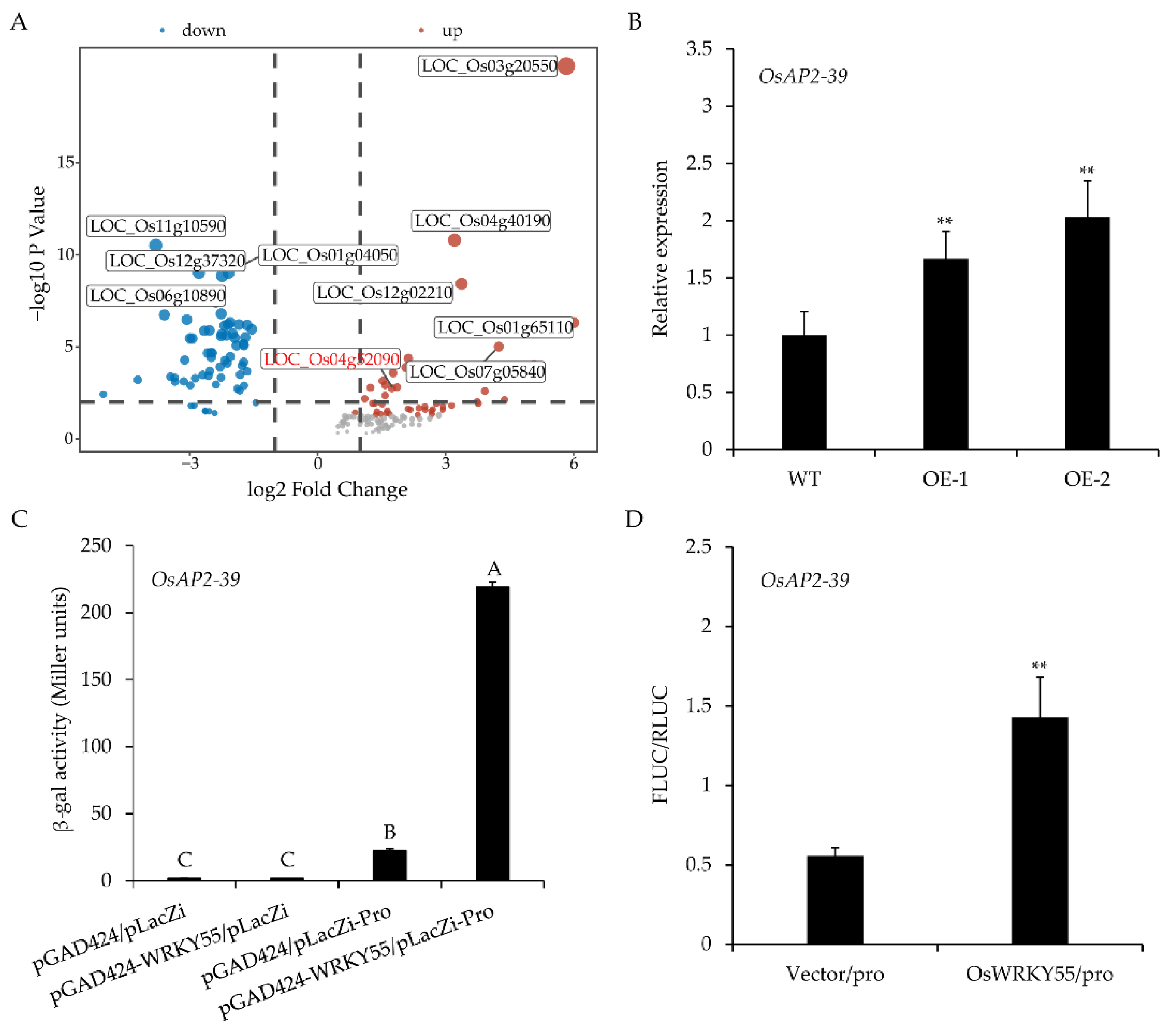 Ijms 22 04337 g006 Ijms 22 04337 g006