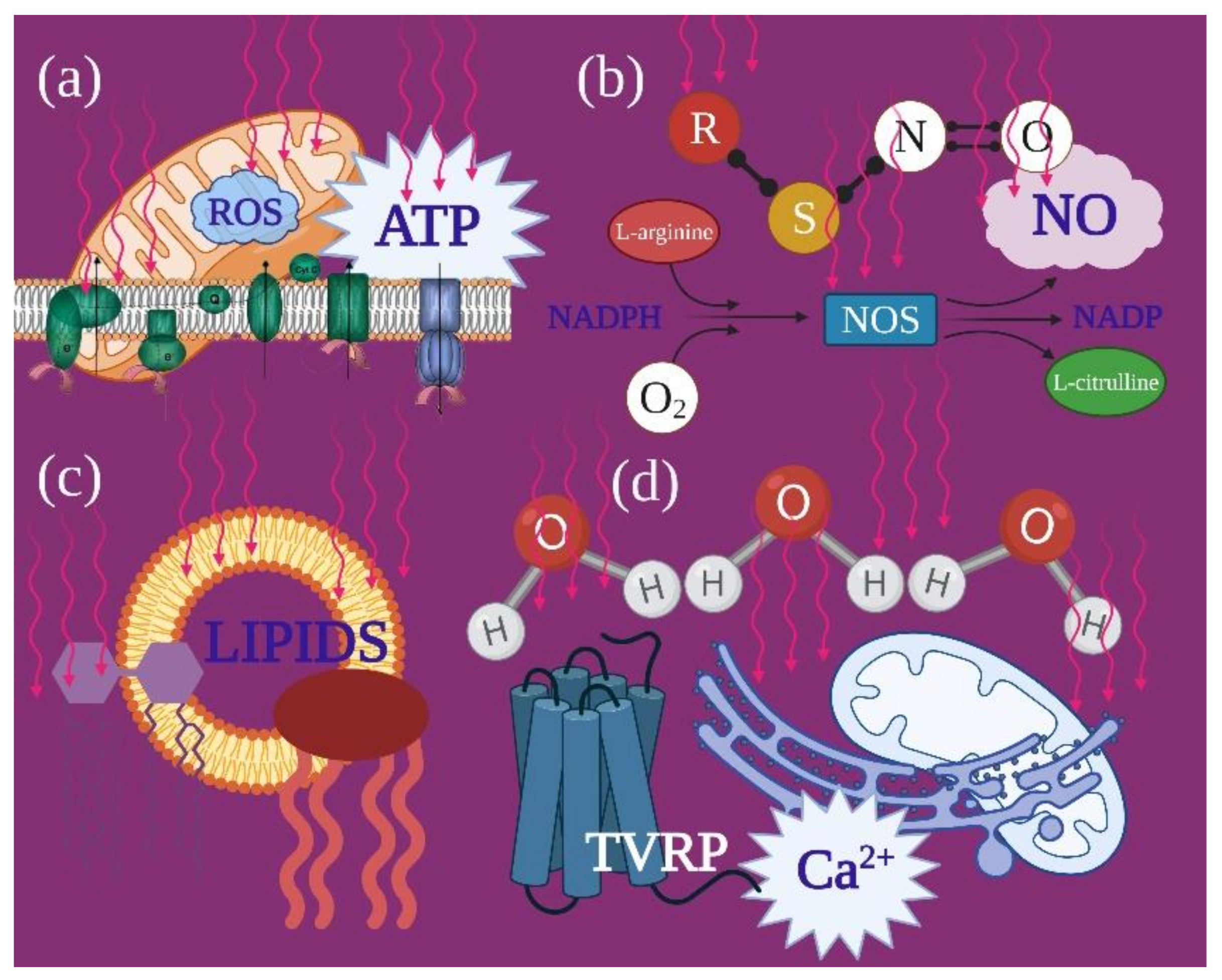 Ijms 22 04347 g001 Ijms 22 04347 g001