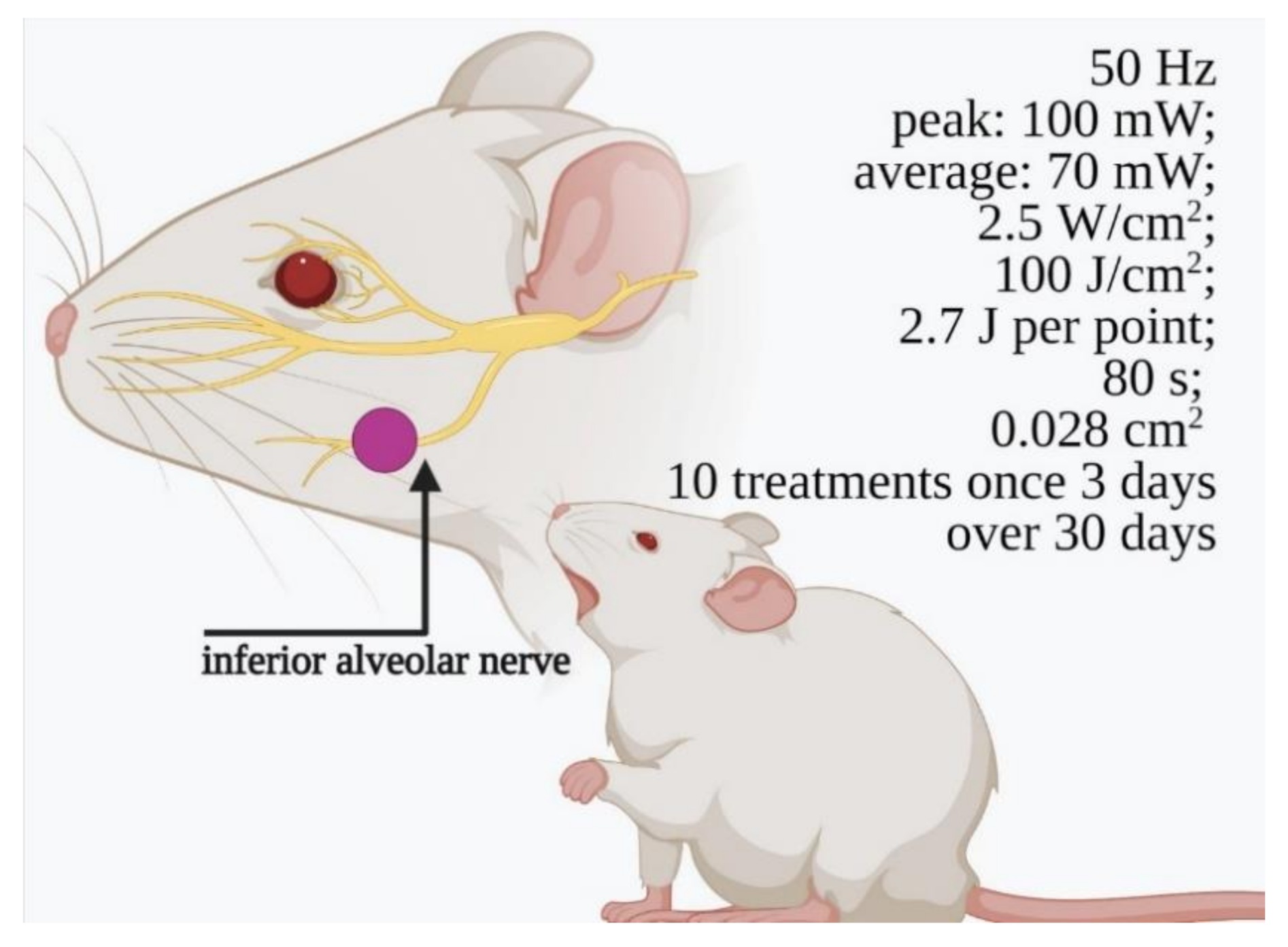 Ijms 22 04347 g002 Ijms 22 04347 g002
