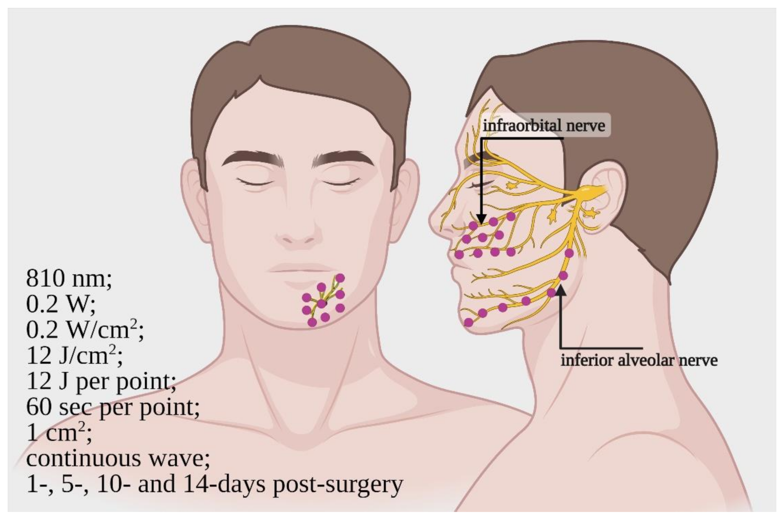 Ijms 22 04347 g003 Ijms 22 04347 g003