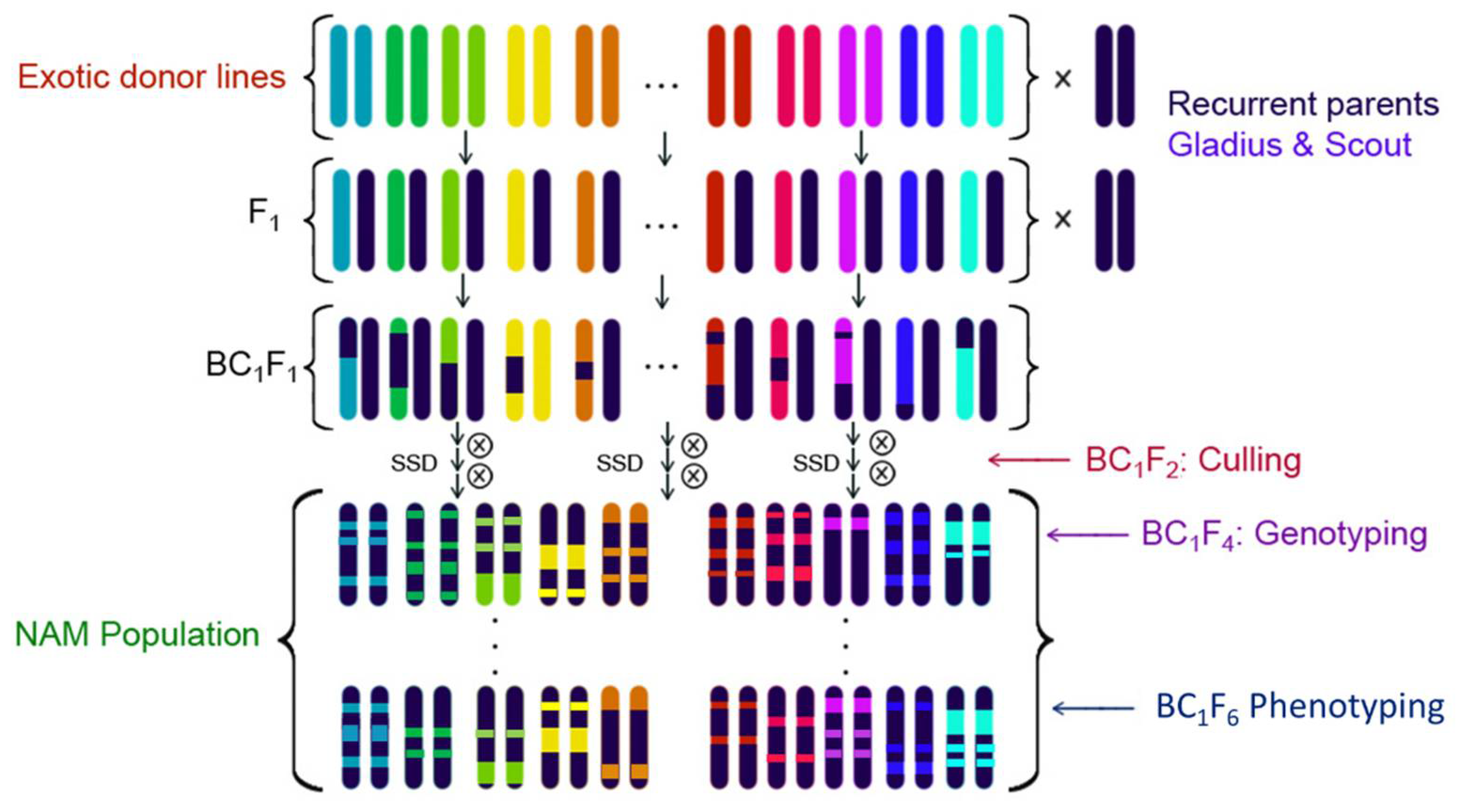 Ijms 22 04348 g006 Ijms 22 04348 g006