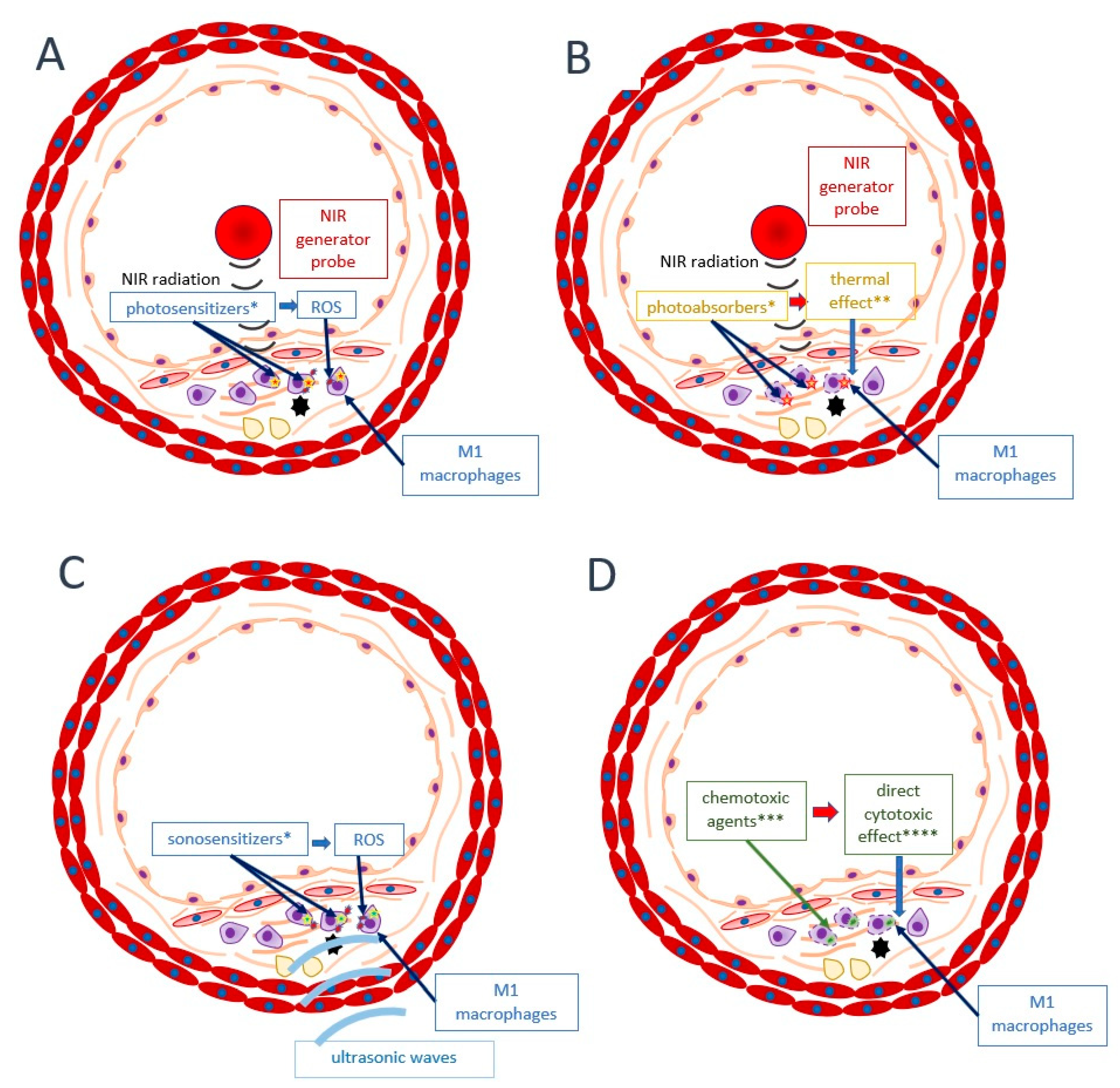 Ijms 22 04354 g005 Ijms 22 04354 g005