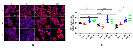 Inhalational Anesthetics Inhibit Neuroglioma Cell Proliferation