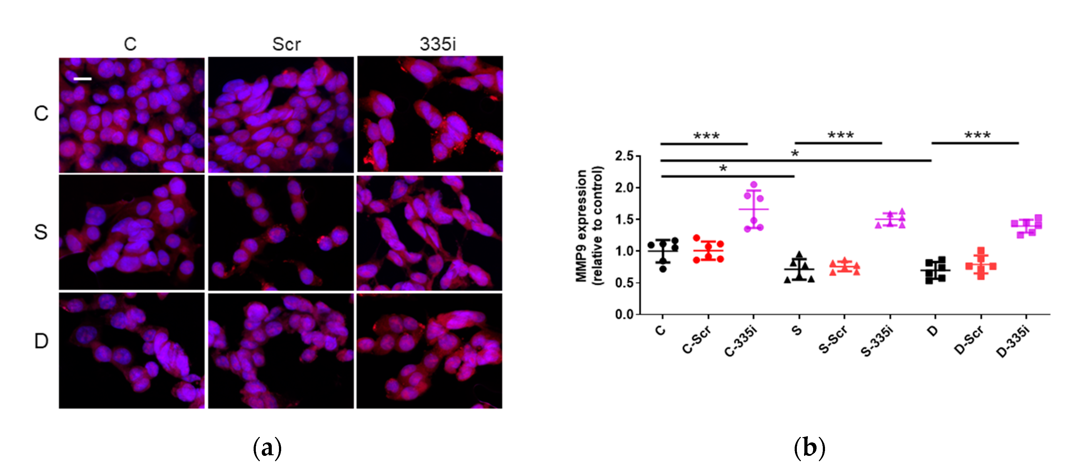 Ijms 22 04355 g005 Ijms 22 04355 g005