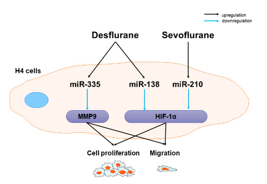 その他 RT V.42 | V.42bis Error Correction | VOCAL Technologies