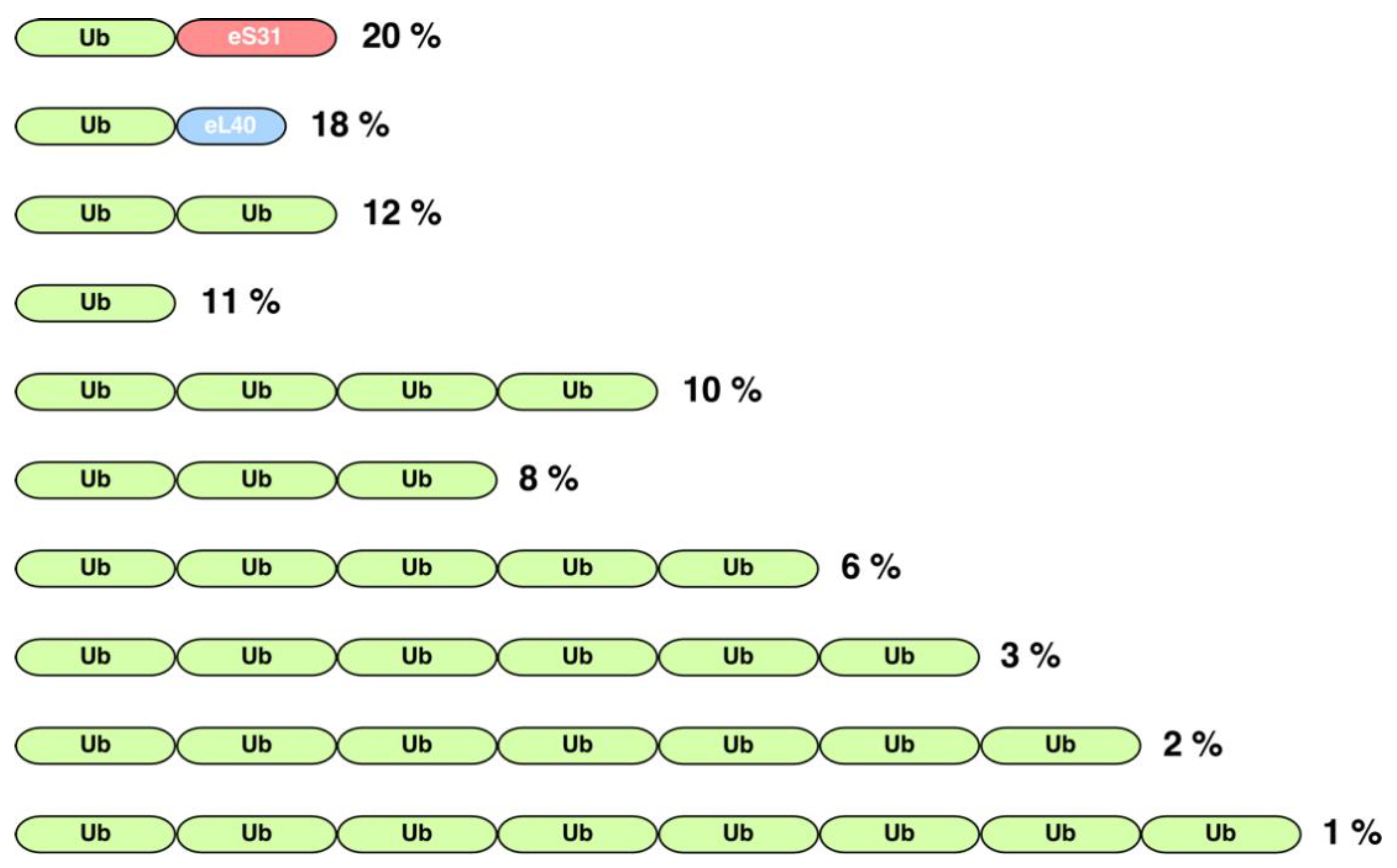 Ijms 22 04359 g002 Ijms 22 04359 g002
