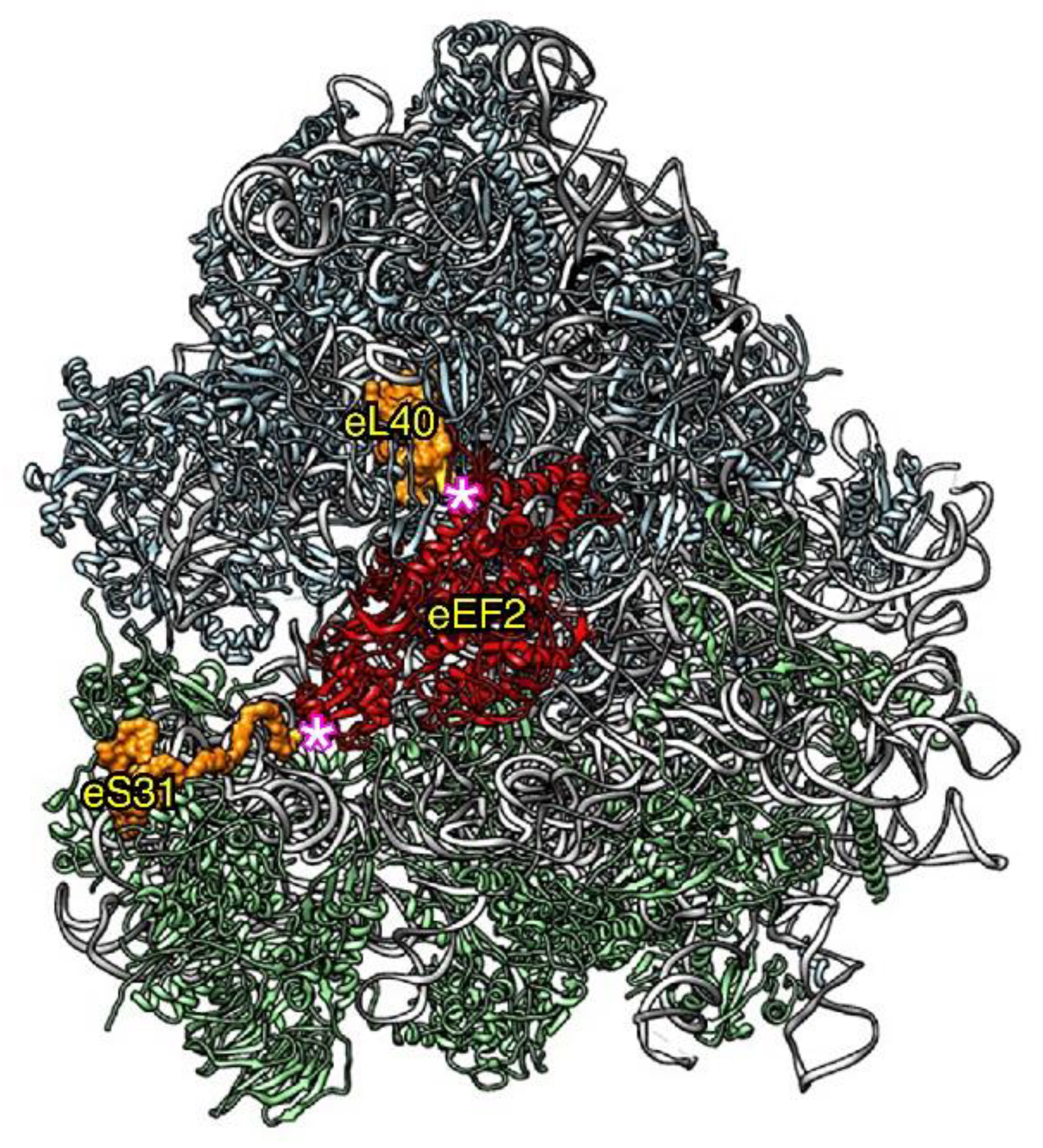 Ijms 22 04359 g004 Ijms 22 04359 g004