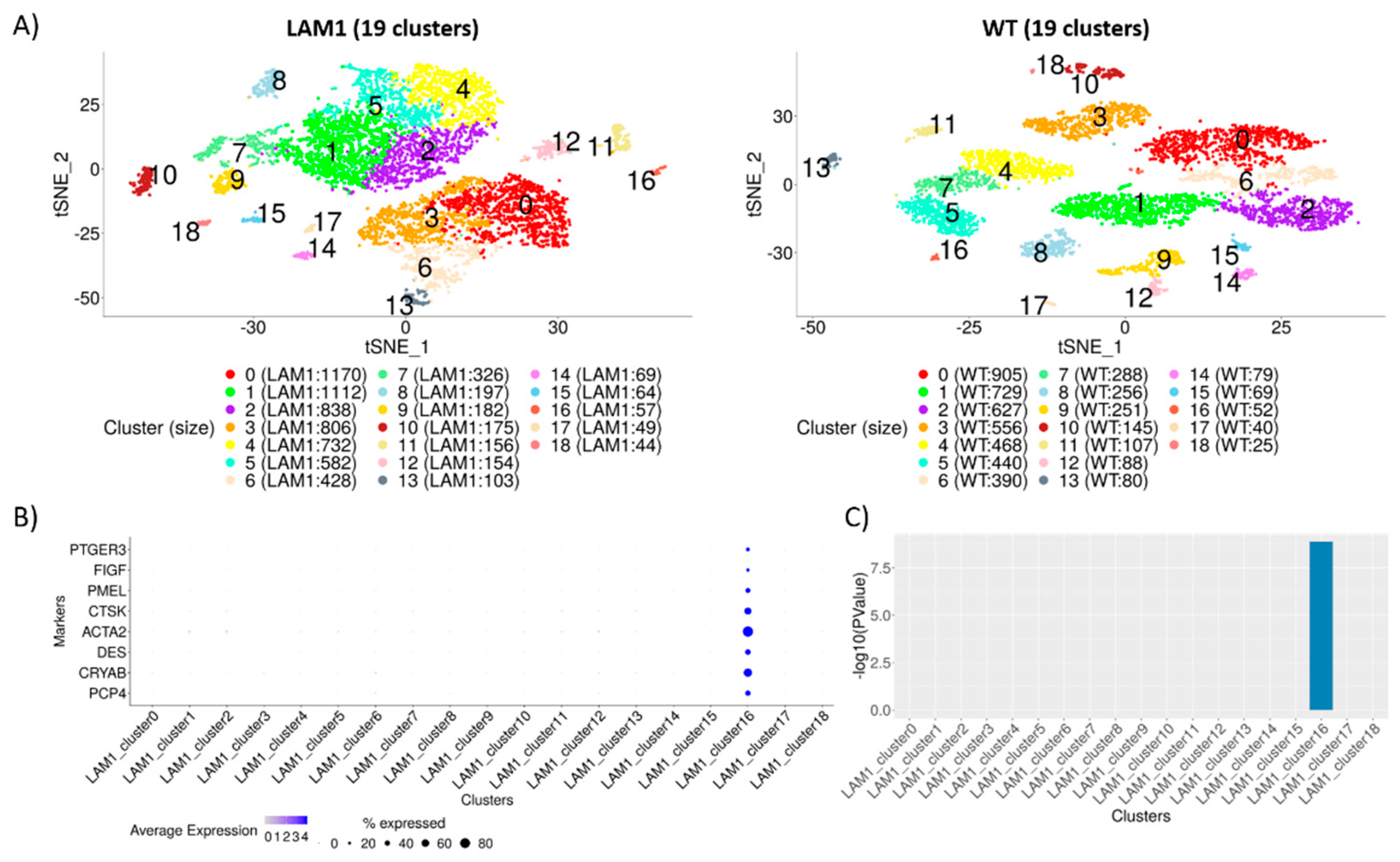 Ijms 22 04371 g001 Ijms 22 04371 g001