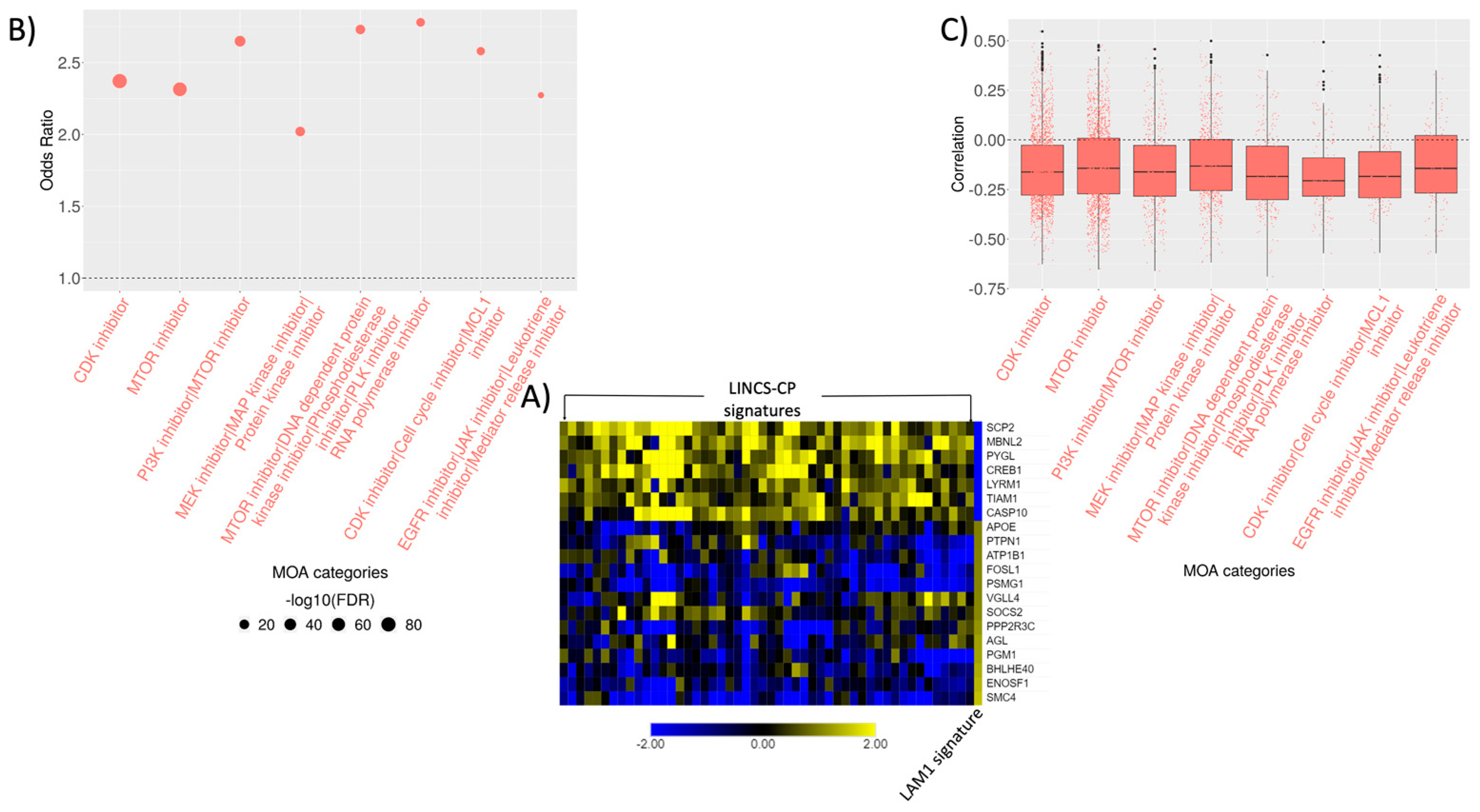 Ijms 22 04371 g003 Ijms 22 04371 g003