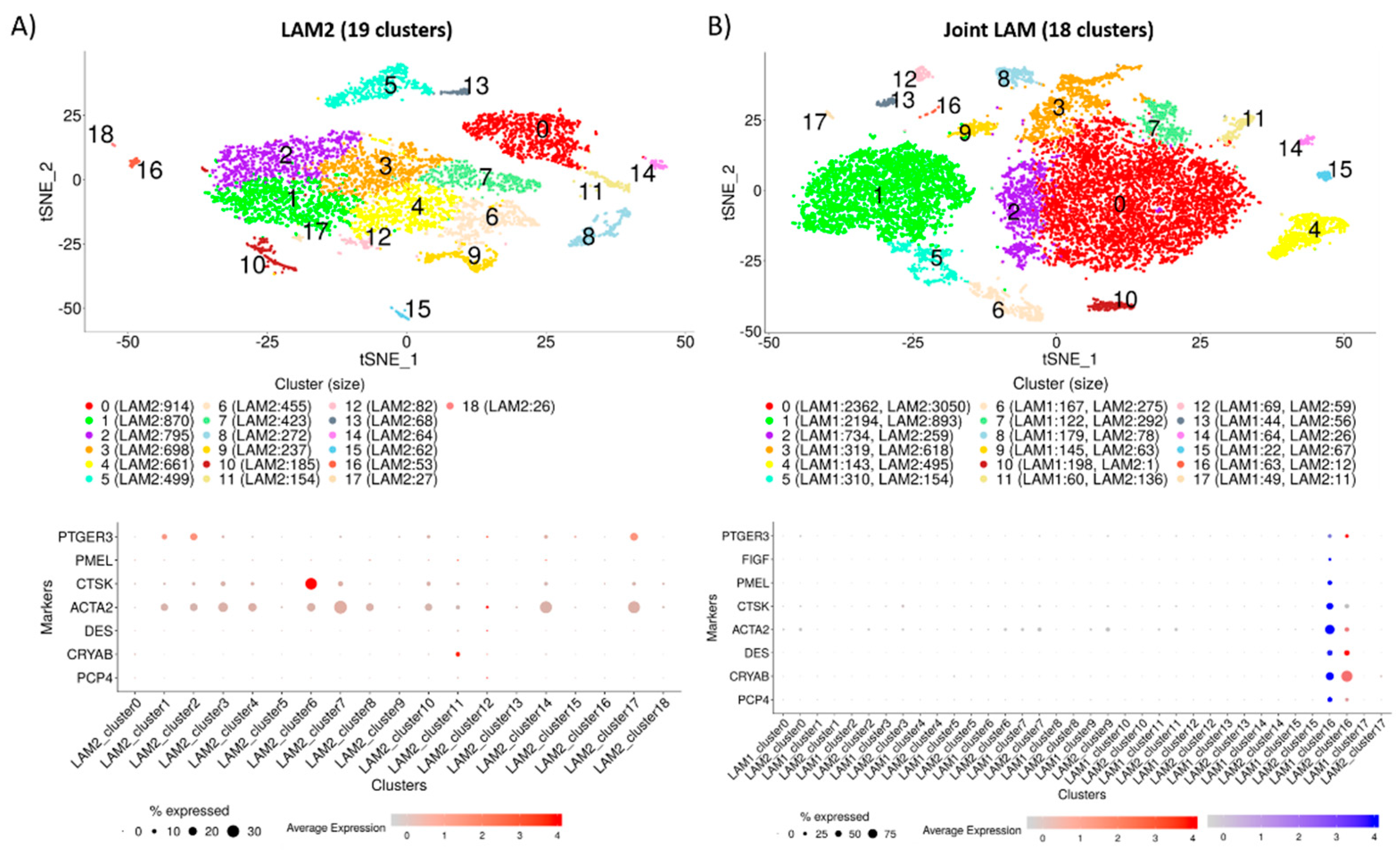 Ijms 22 04371 g004 Ijms 22 04371 g004