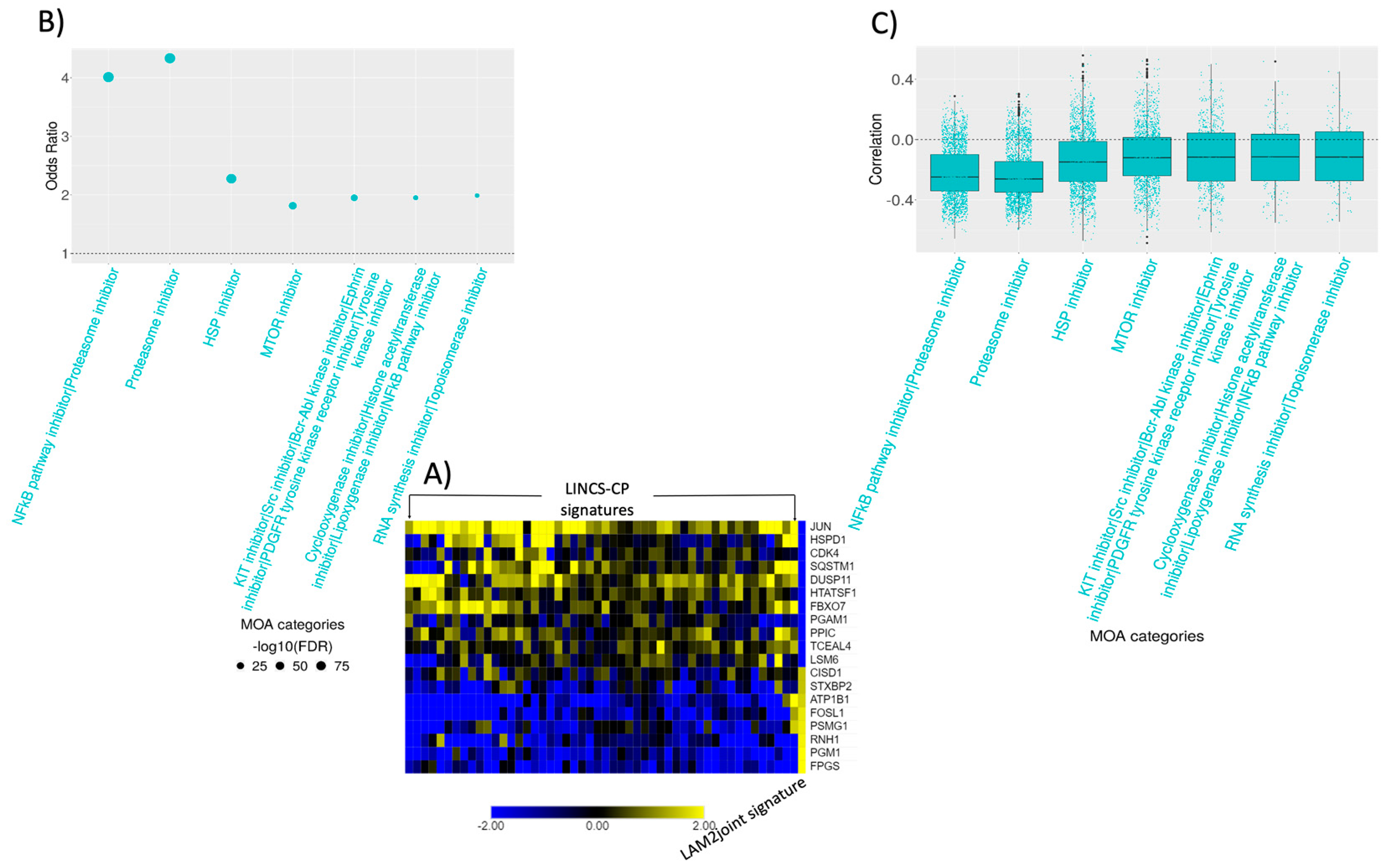 Ijms 22 04371 g006 Ijms 22 04371 g006