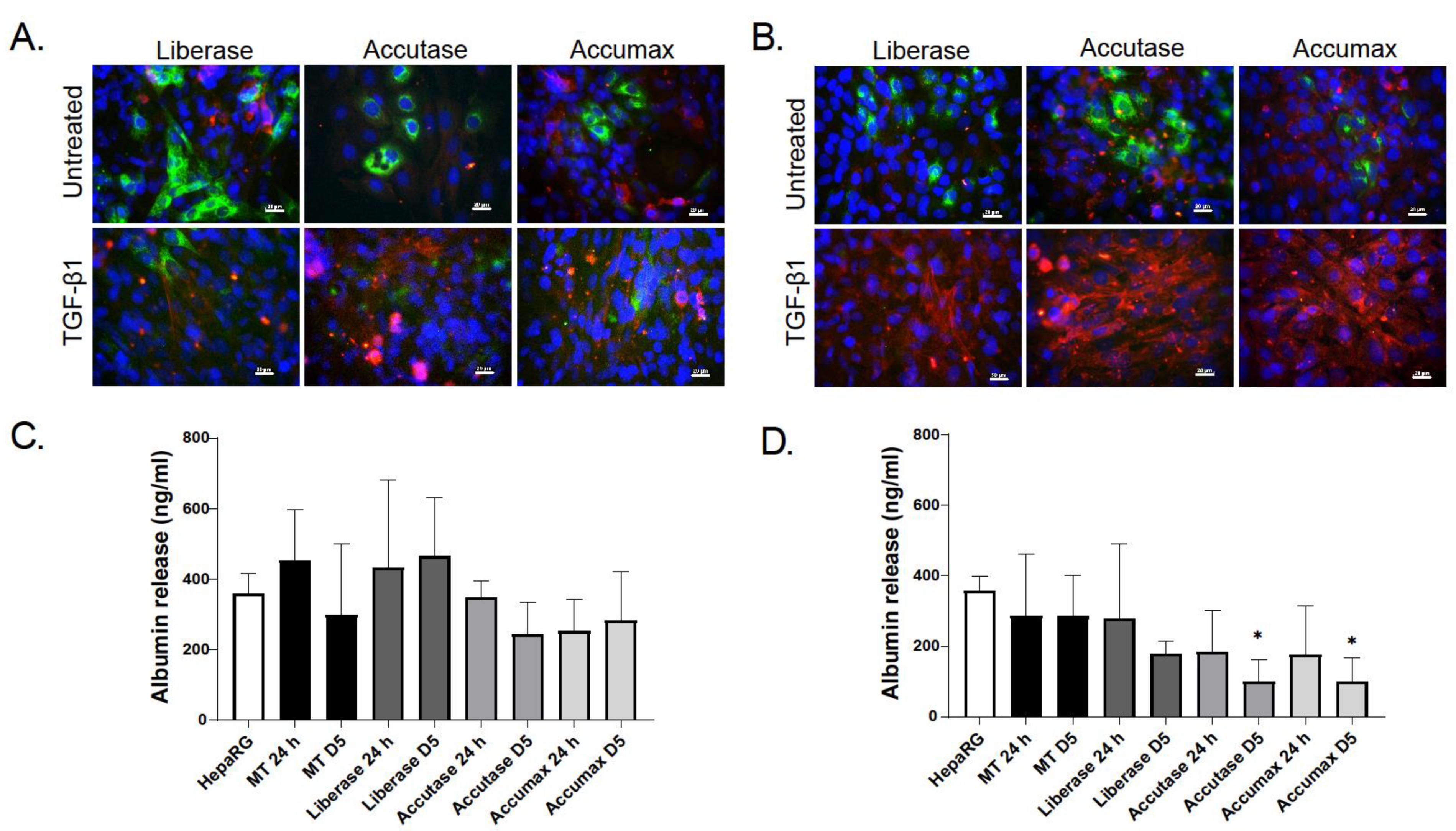Ijms 22 04372 g003 Ijms 22 04372 g003