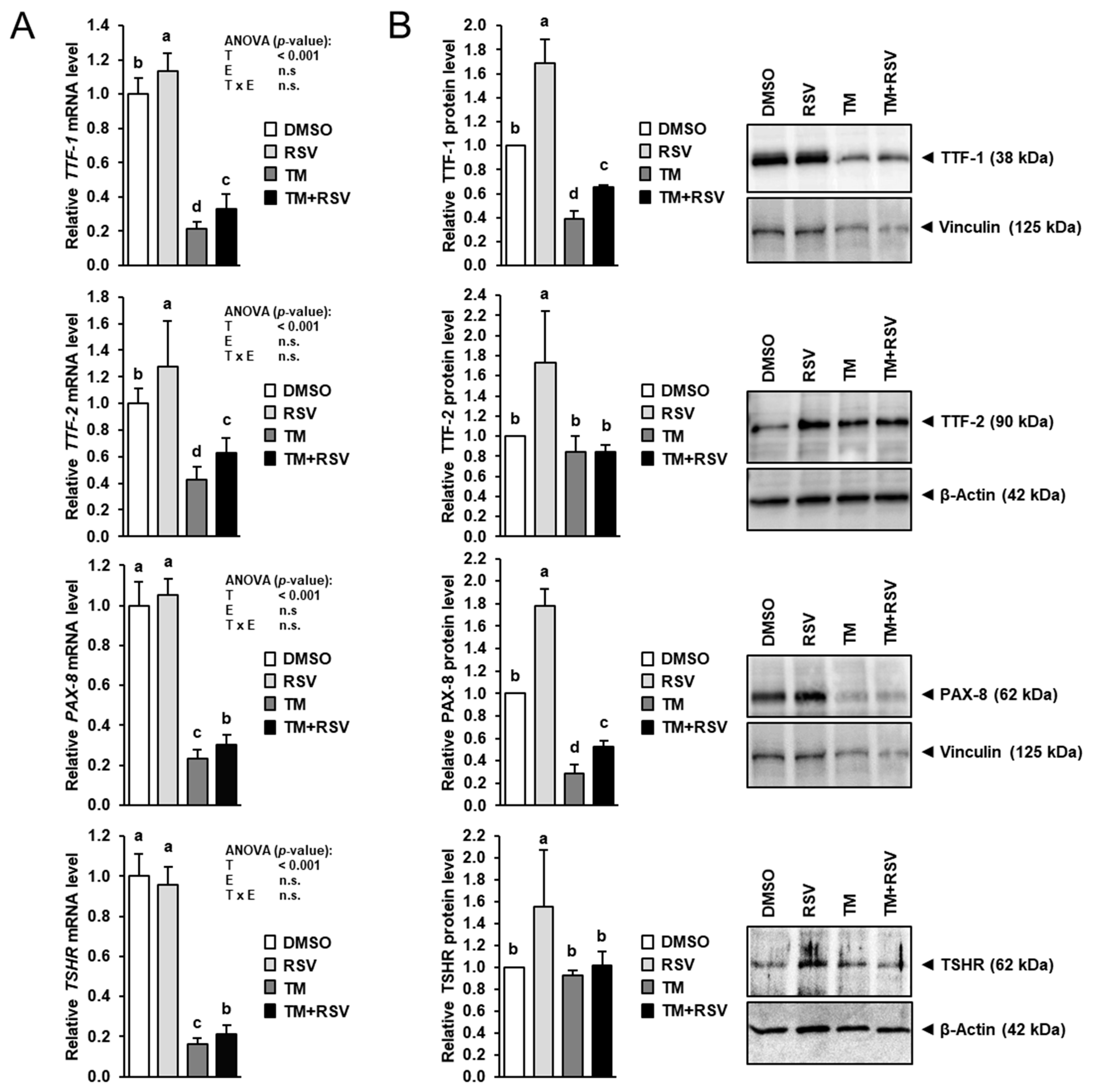 Ijms 22 04373 g005 Ijms 22 04373 g005