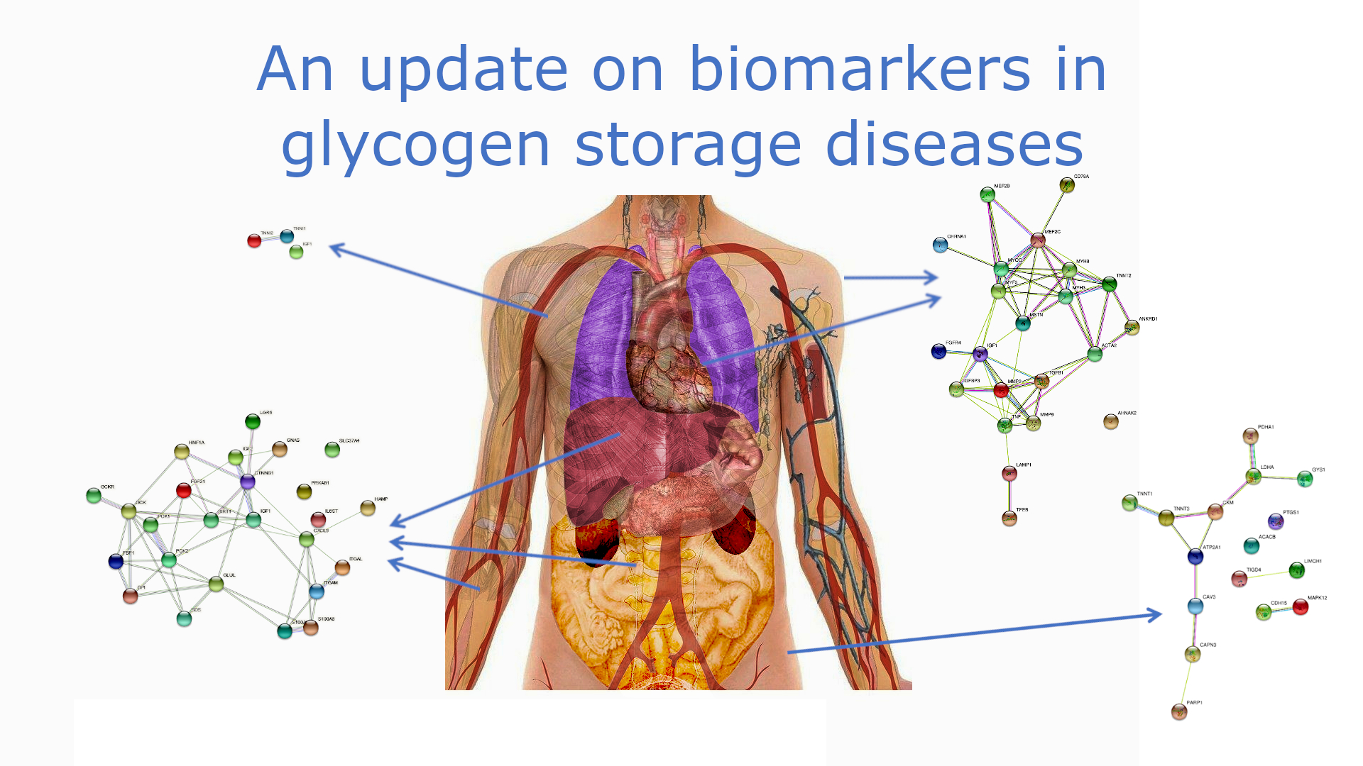 Glycogen Storage Disorder Type Ia Gsds Dandk Organizer