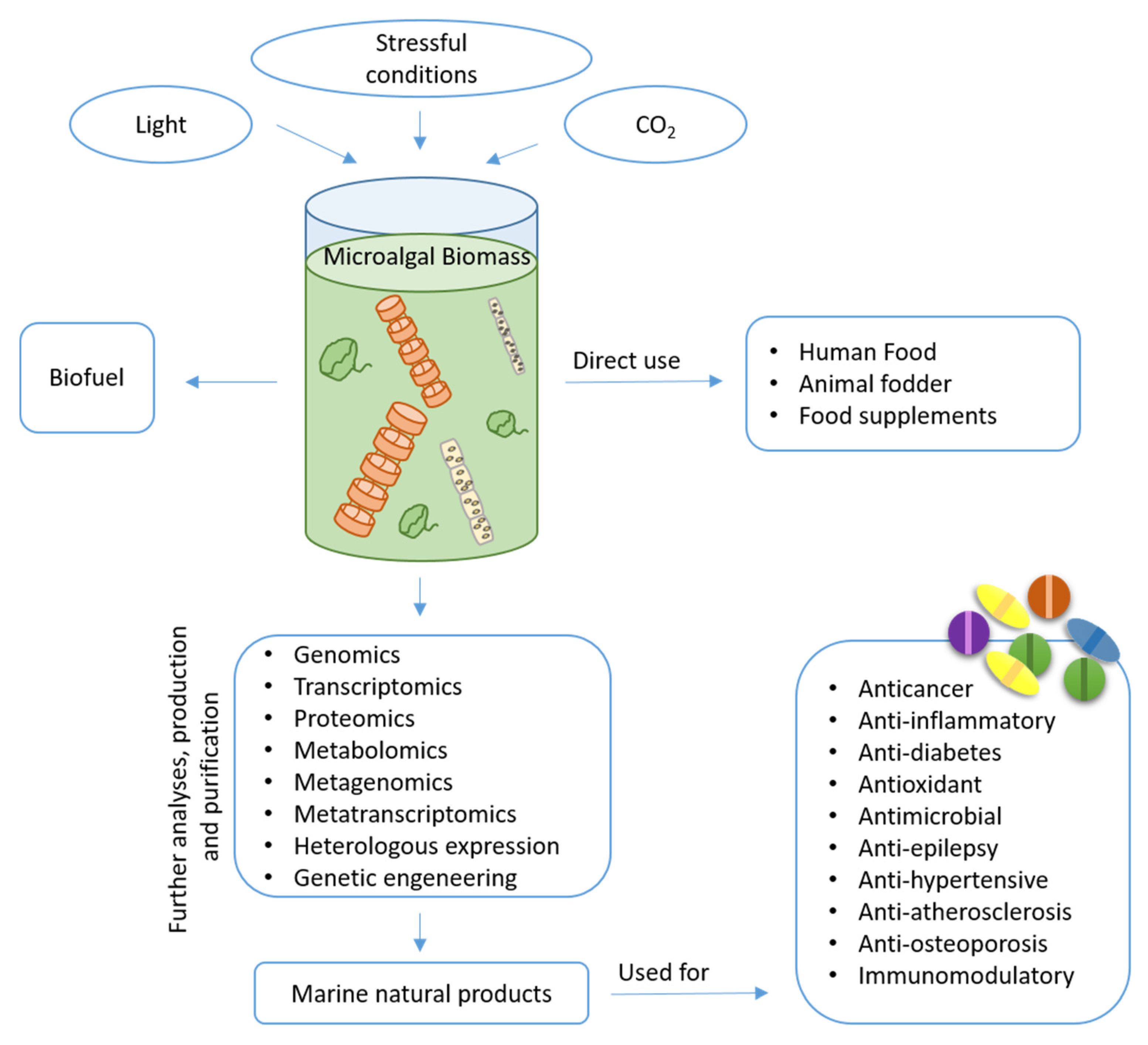 Ijms Free Full Text Unlocking The Health Potential Of Microalgae As Sustainable Sources Of Bioactive Compounds Html