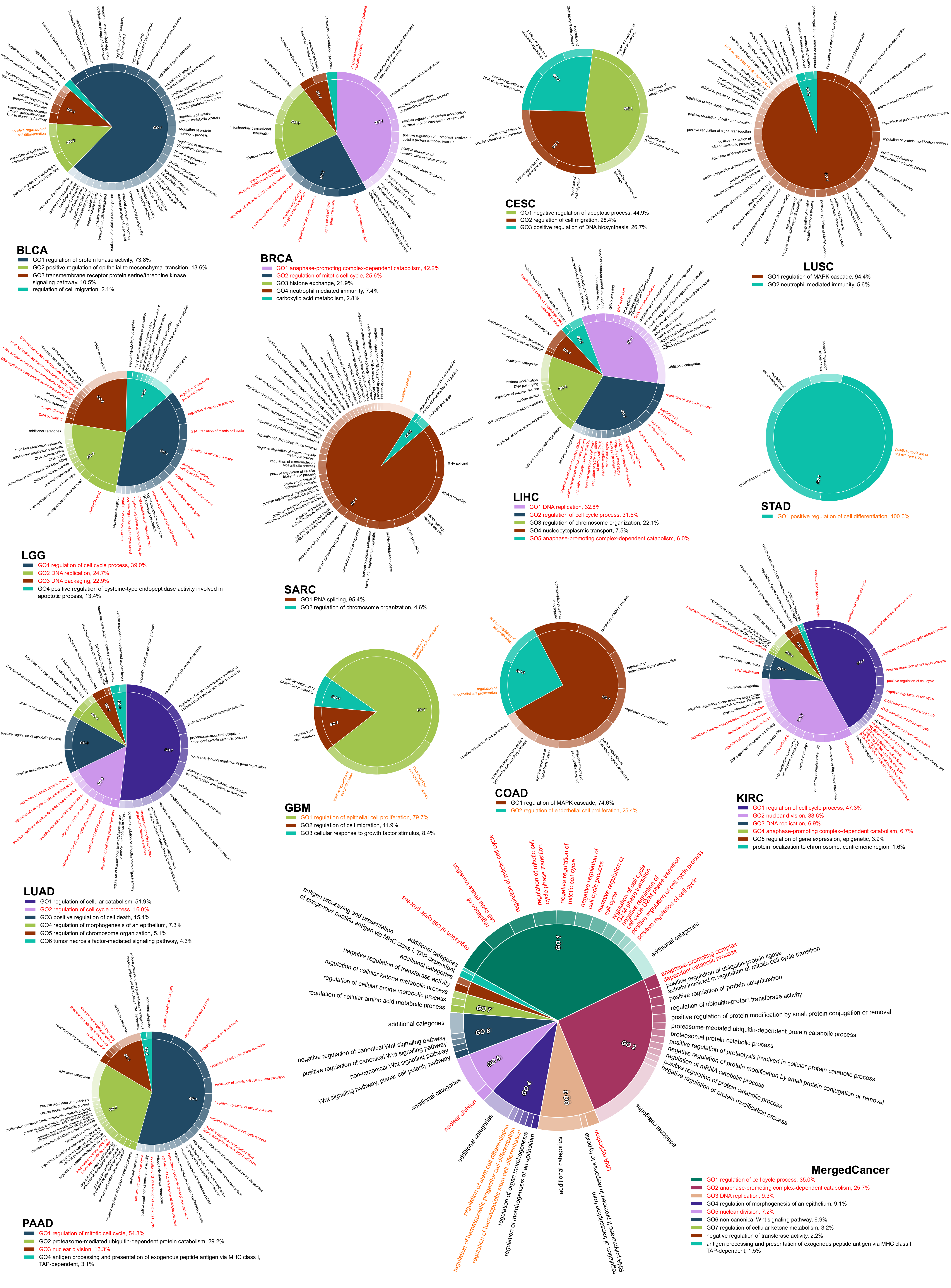 Ijms 22 04384 g004 Ijms 22 04384 g004