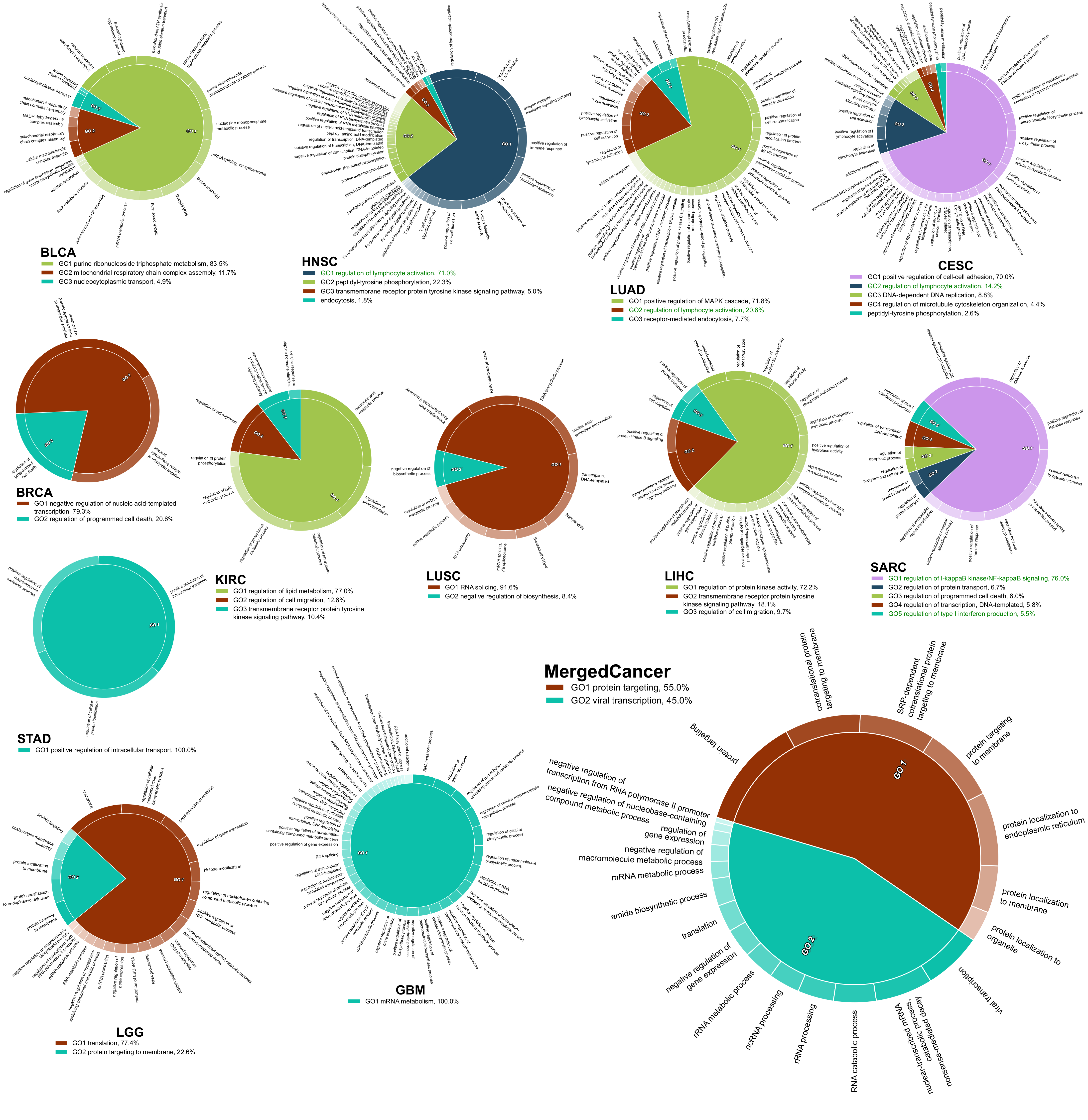 Ijms 22 04384 g005 Ijms 22 04384 g005
