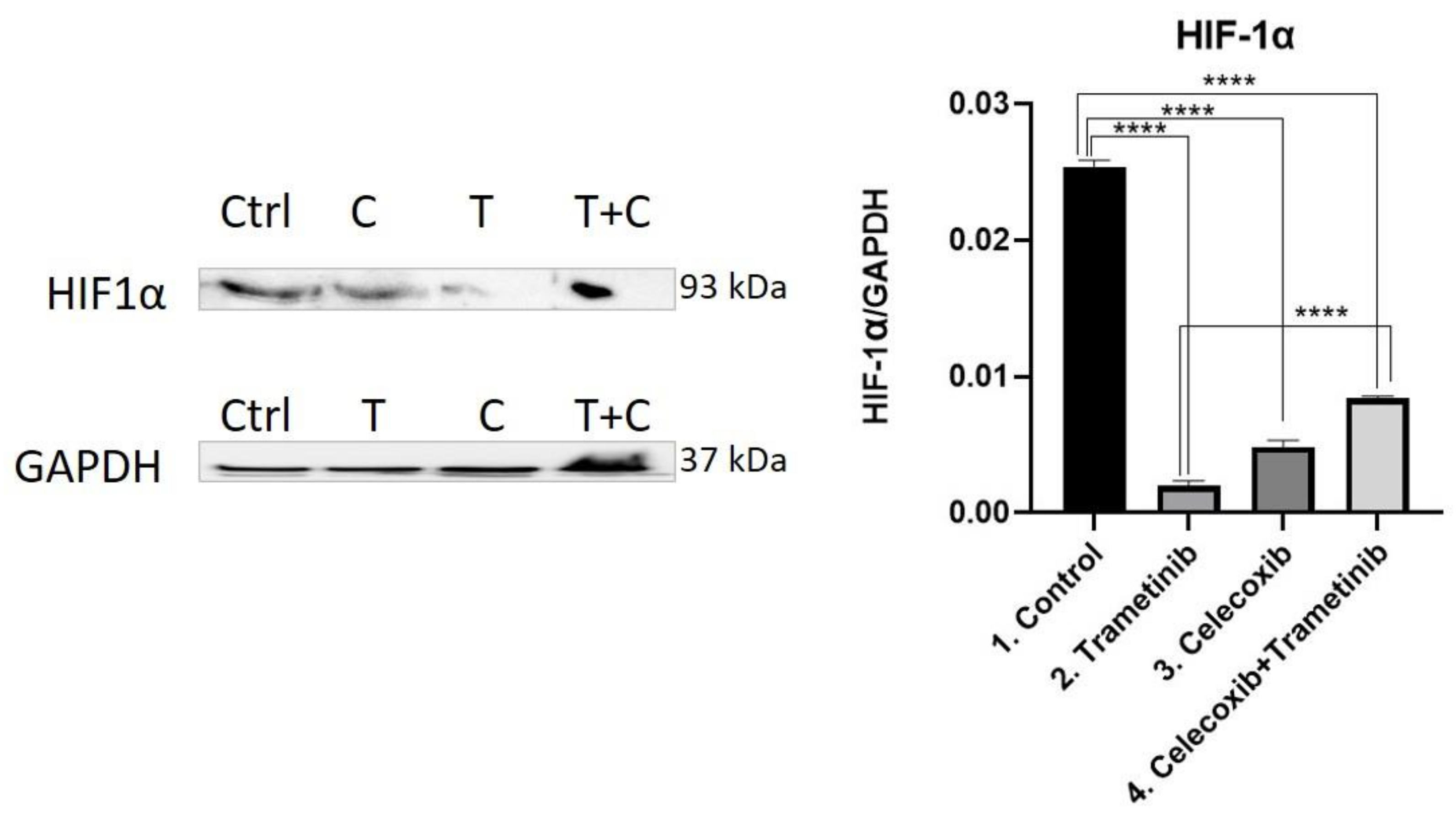 Ijms 22 04387 g009 Ijms 22 04387 g009