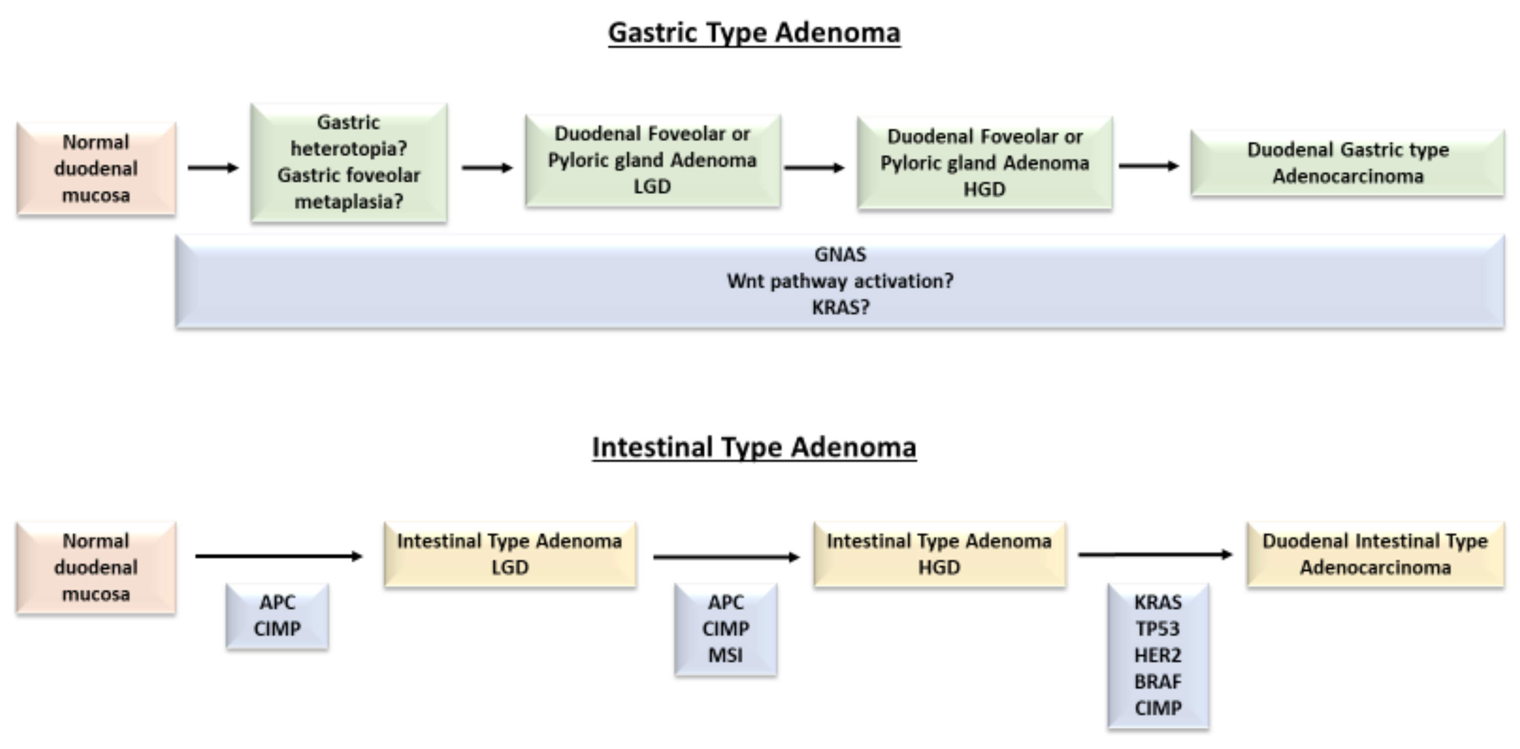 Ijms 22 04388 g001 Ijms 22 04388 g001