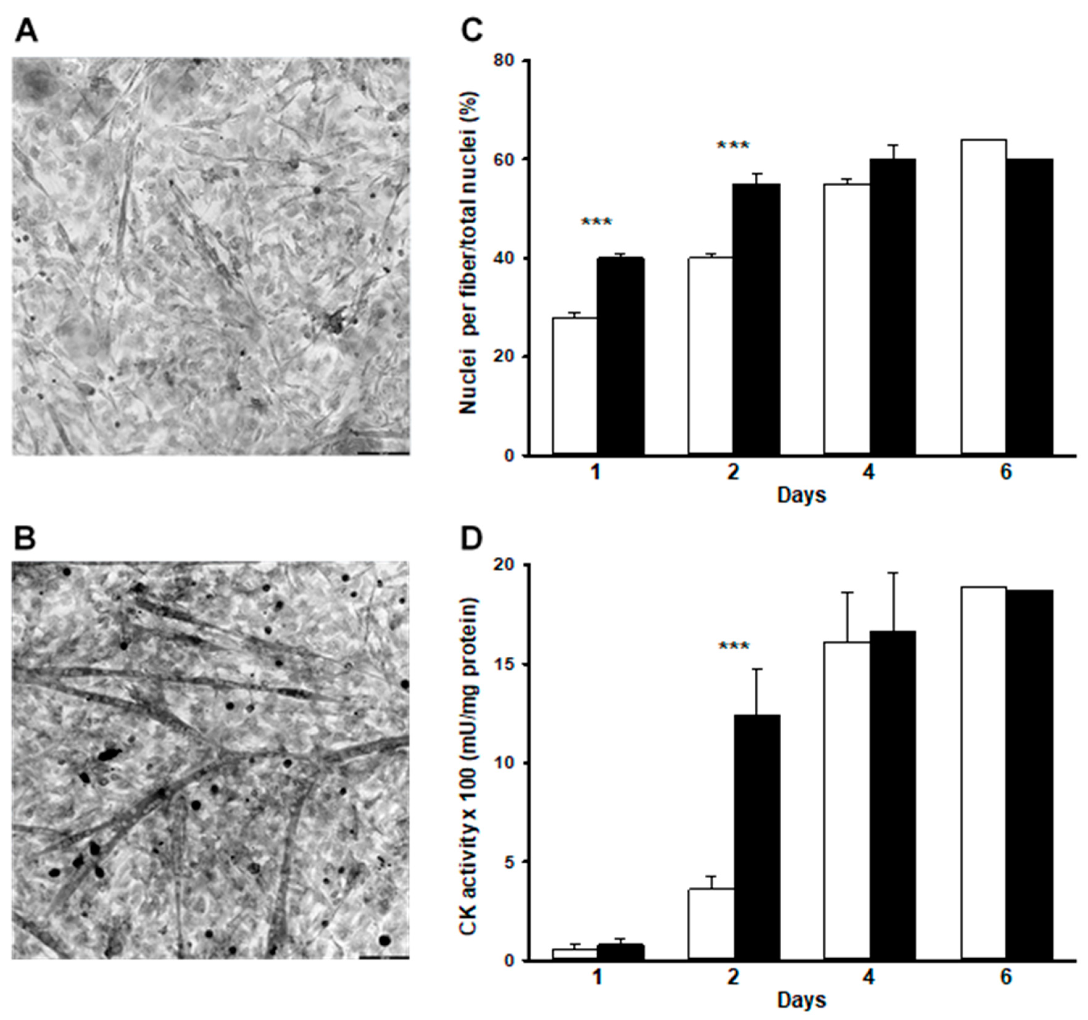 Ijms 22 04407 g001 Ijms 22 04407 g001