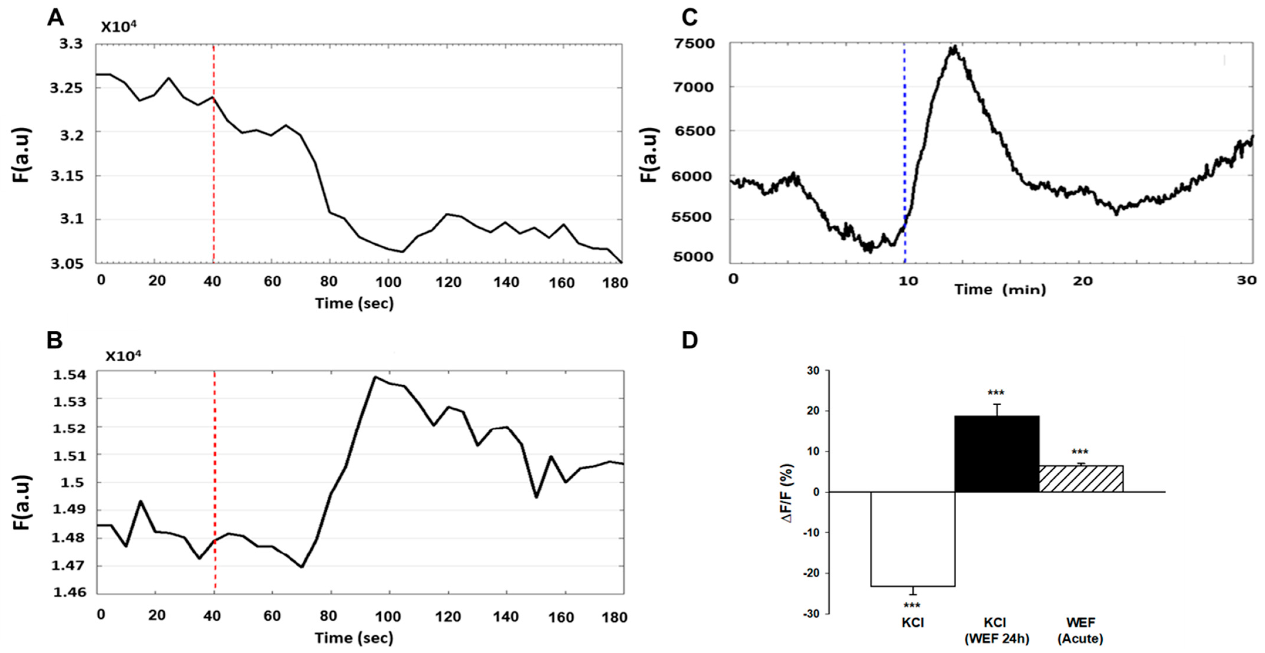 Ijms 22 04407 g003 Ijms 22 04407 g003