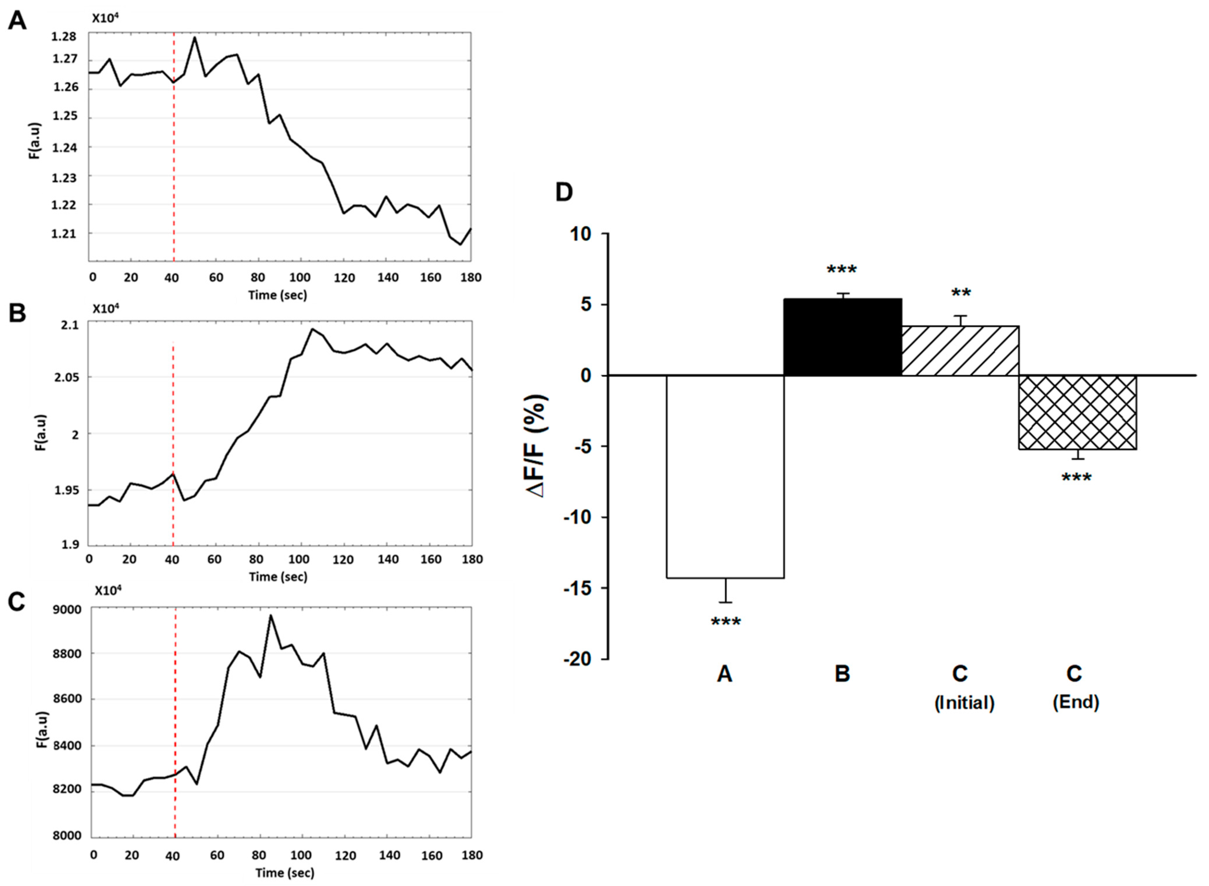 Ijms 22 04407 g004 Ijms 22 04407 g004