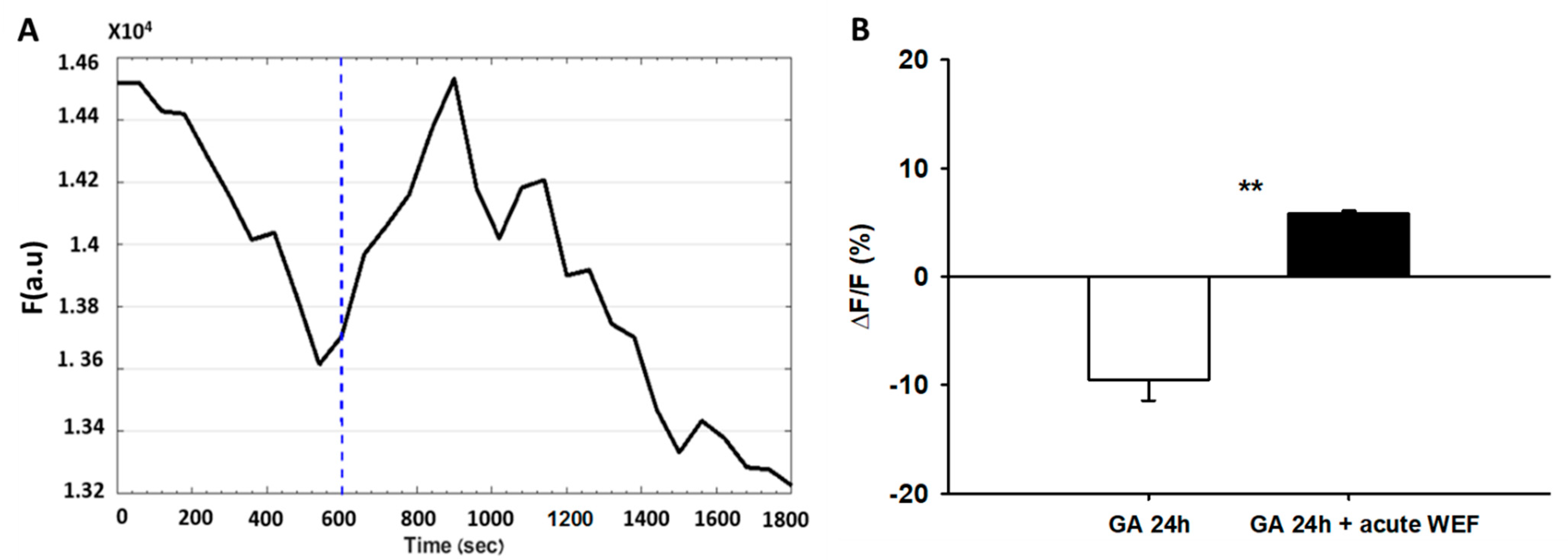 Ijms 22 04407 g005 Ijms 22 04407 g005