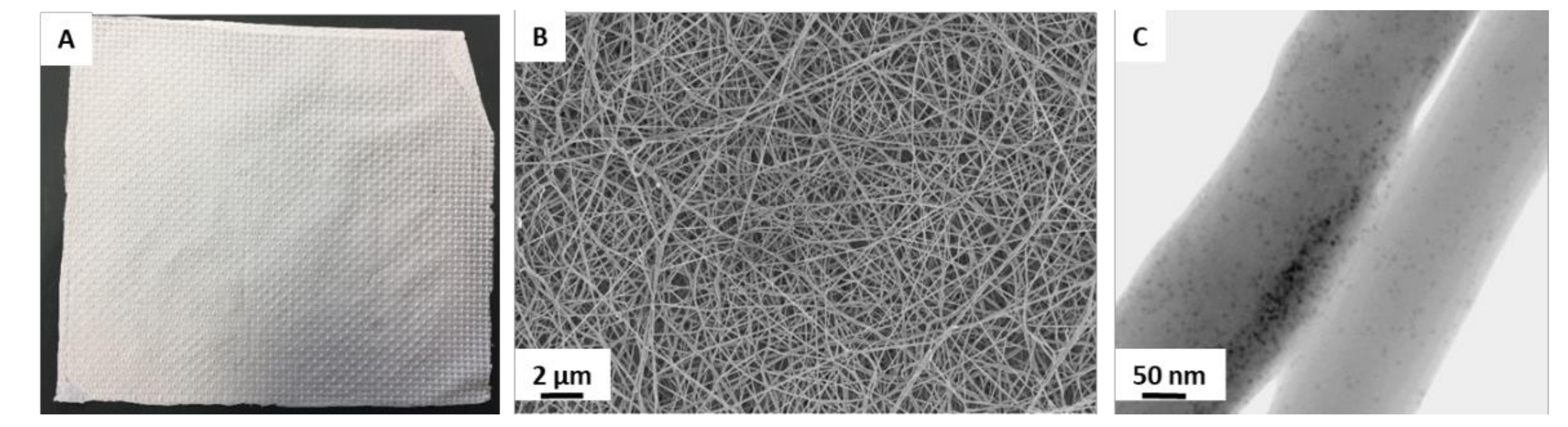 Ijms 22 04412 g001 Ijms 22 04412 g001